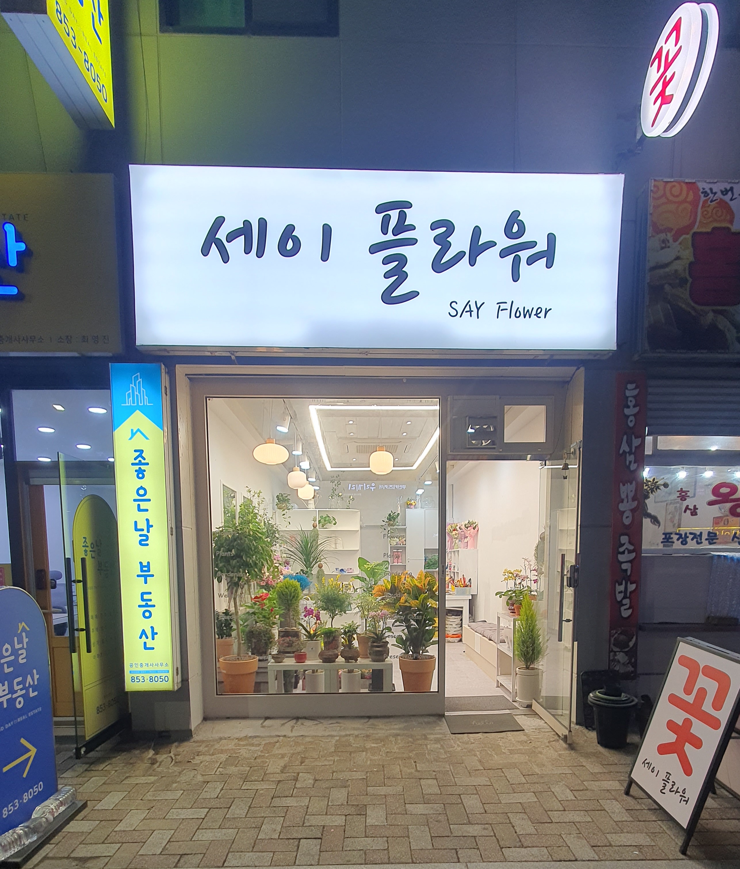 세이플라워