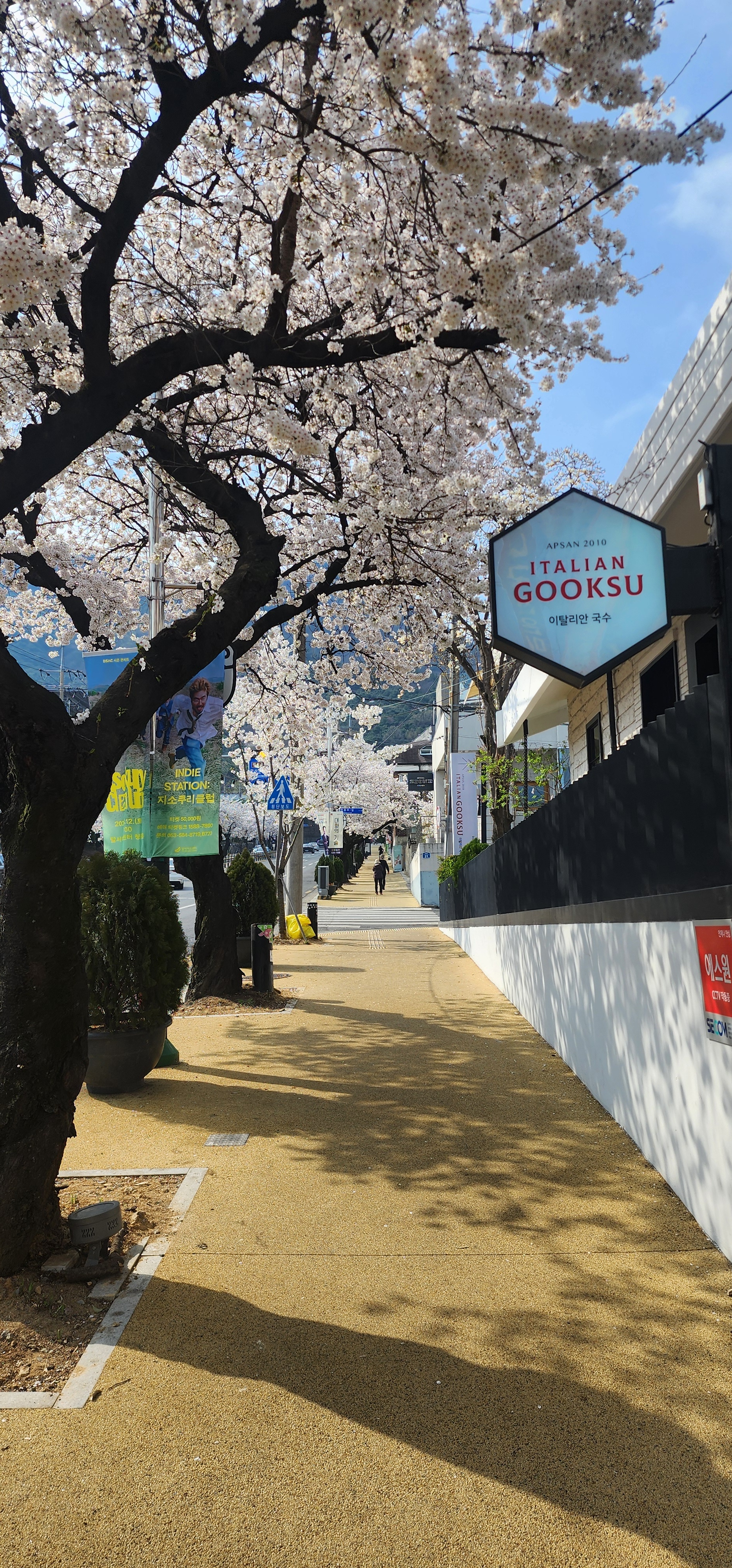 앞산 국수[GookSu]