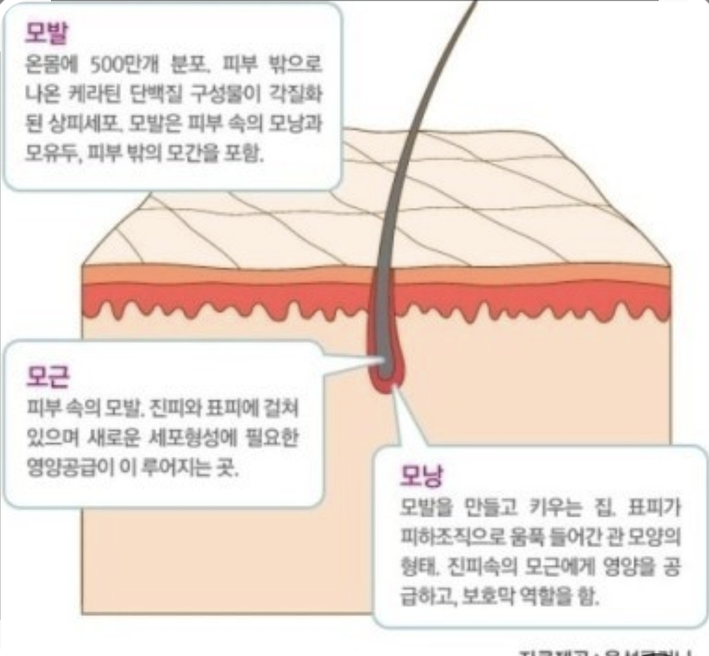큐사랑 충남도청점