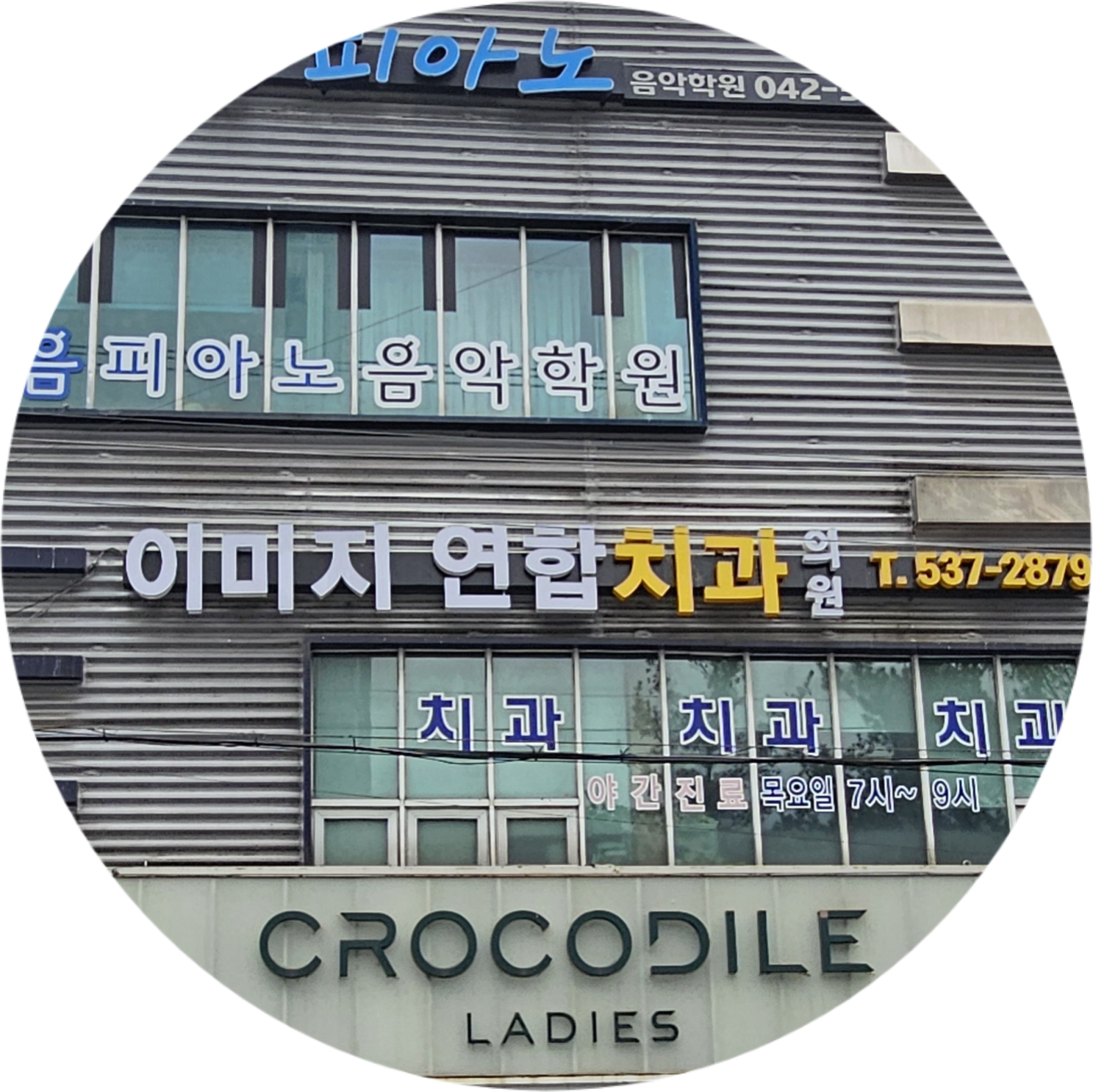 이미지연합치과의원 대표 이미지
