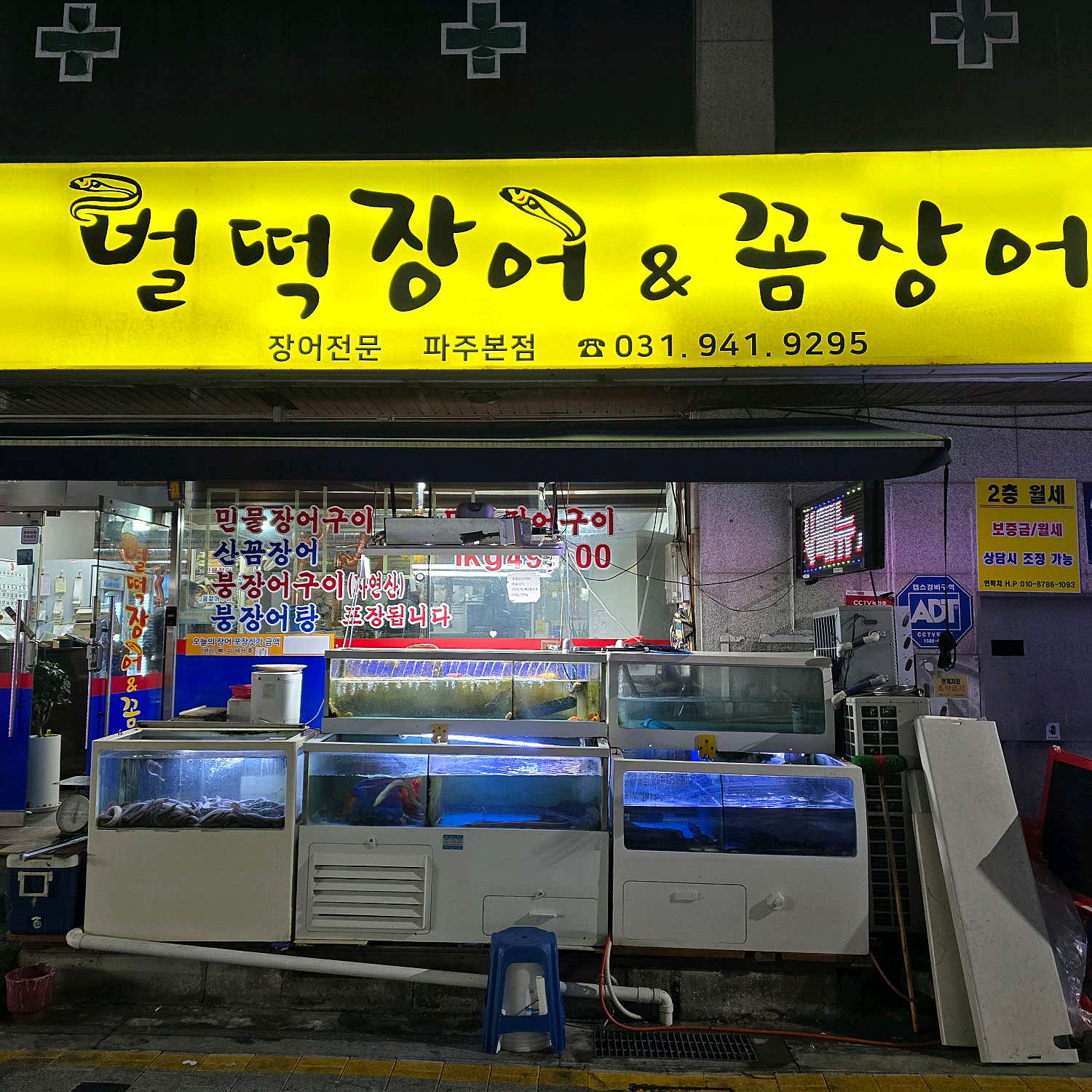 벌떡장어 꼼장어