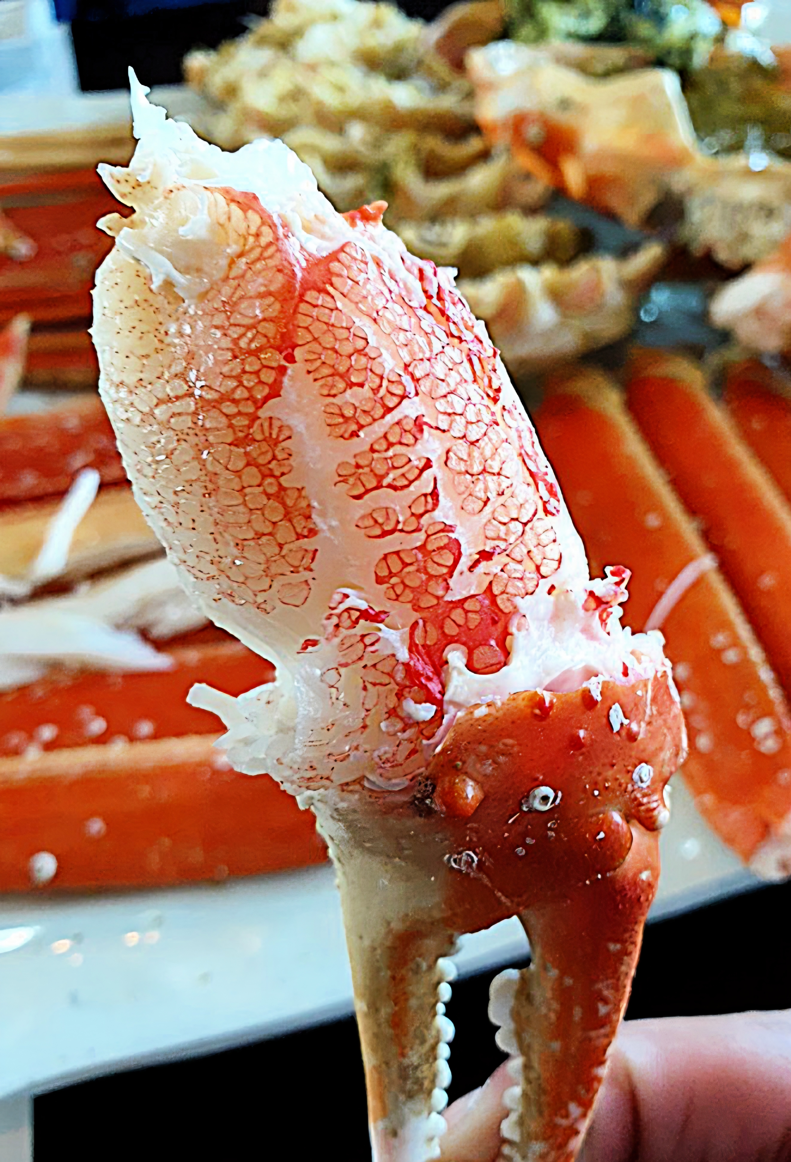 솔향대게 3