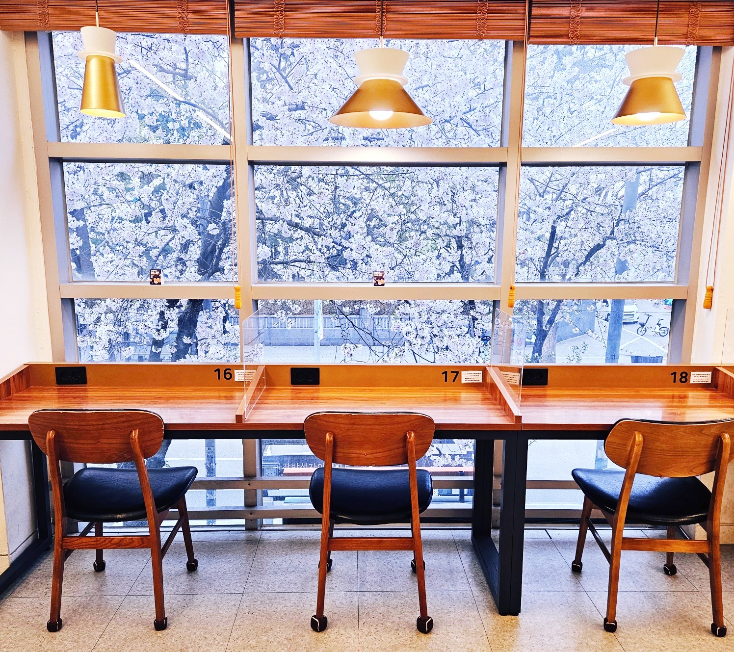 업체사진