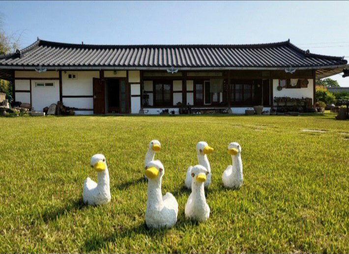 꽃마리댁 설명사진