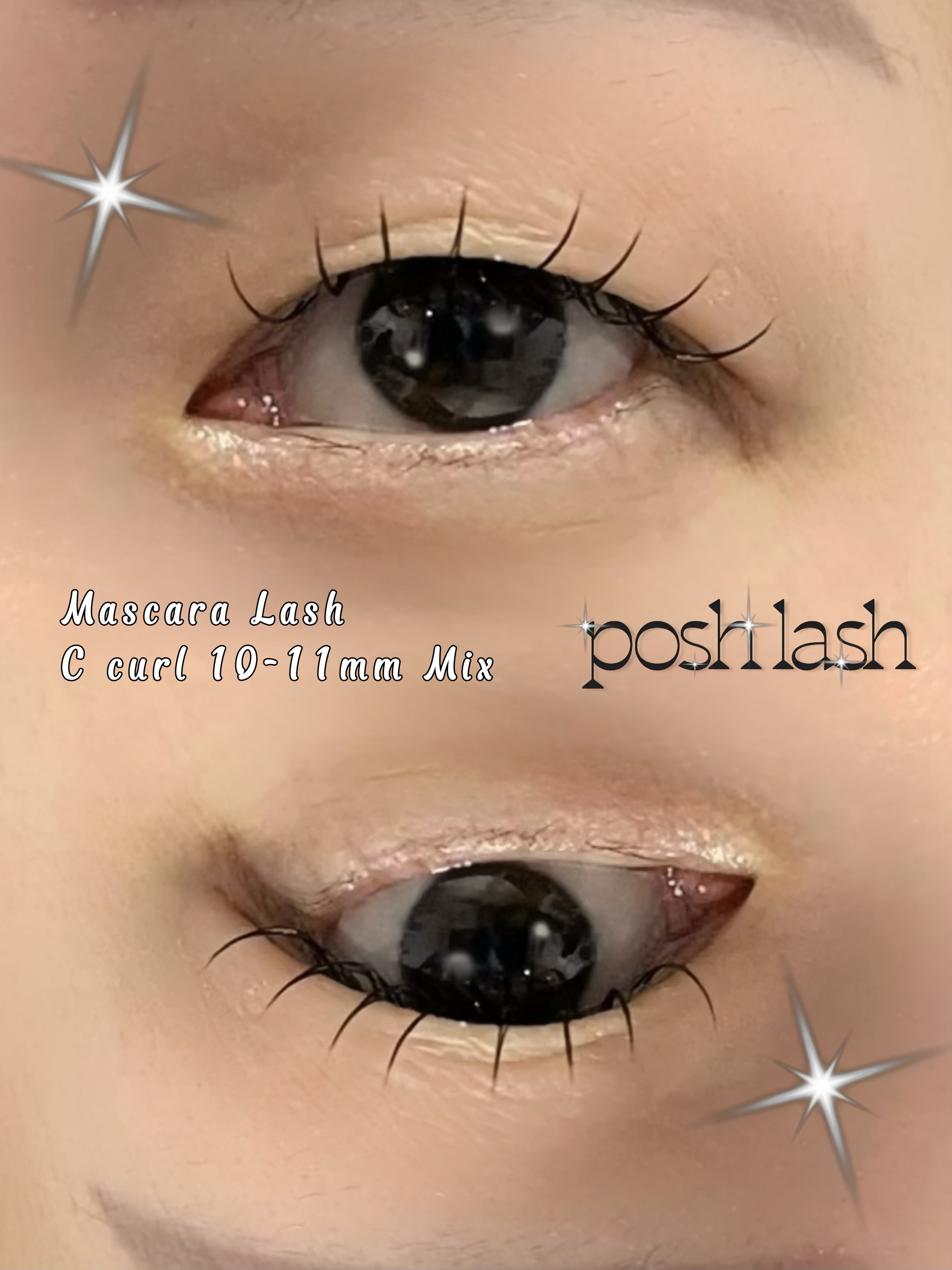 포쉬래쉬 대표 이미지