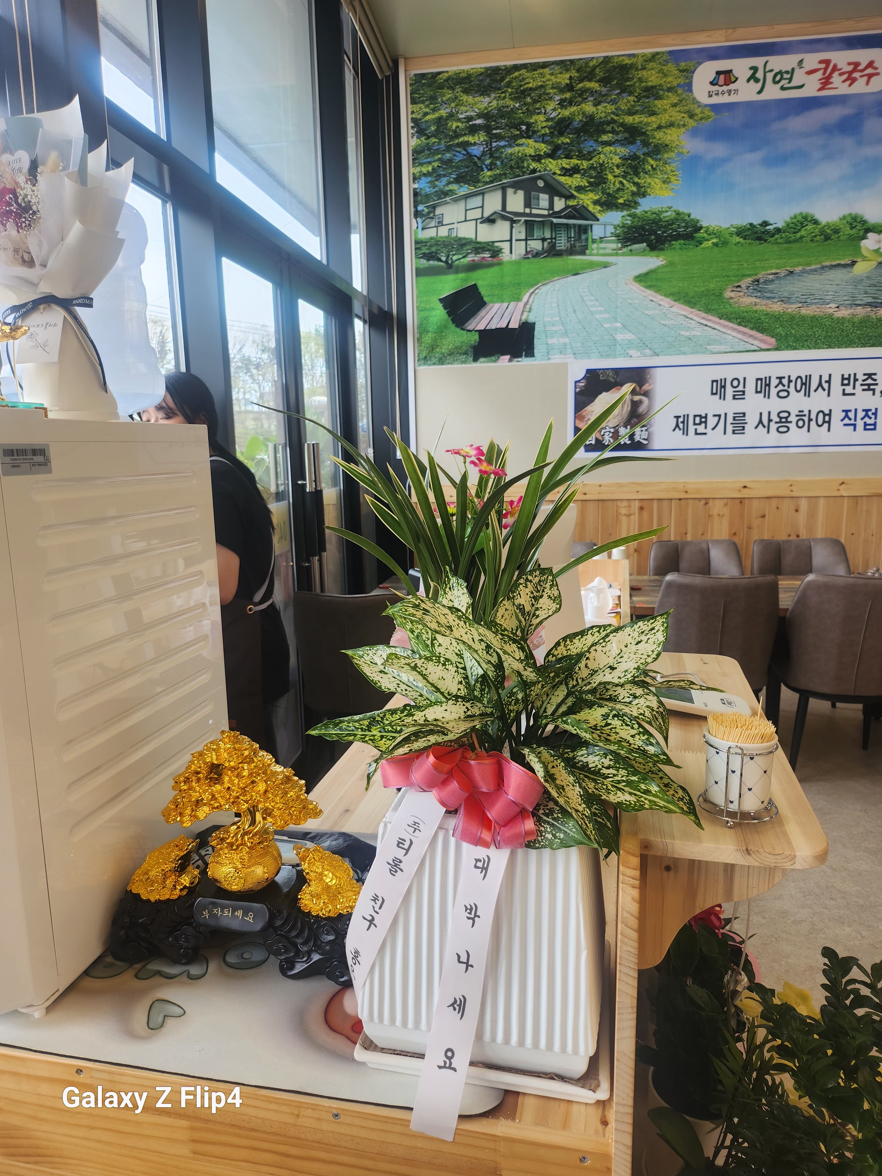 자연칼국수 대표 이미지