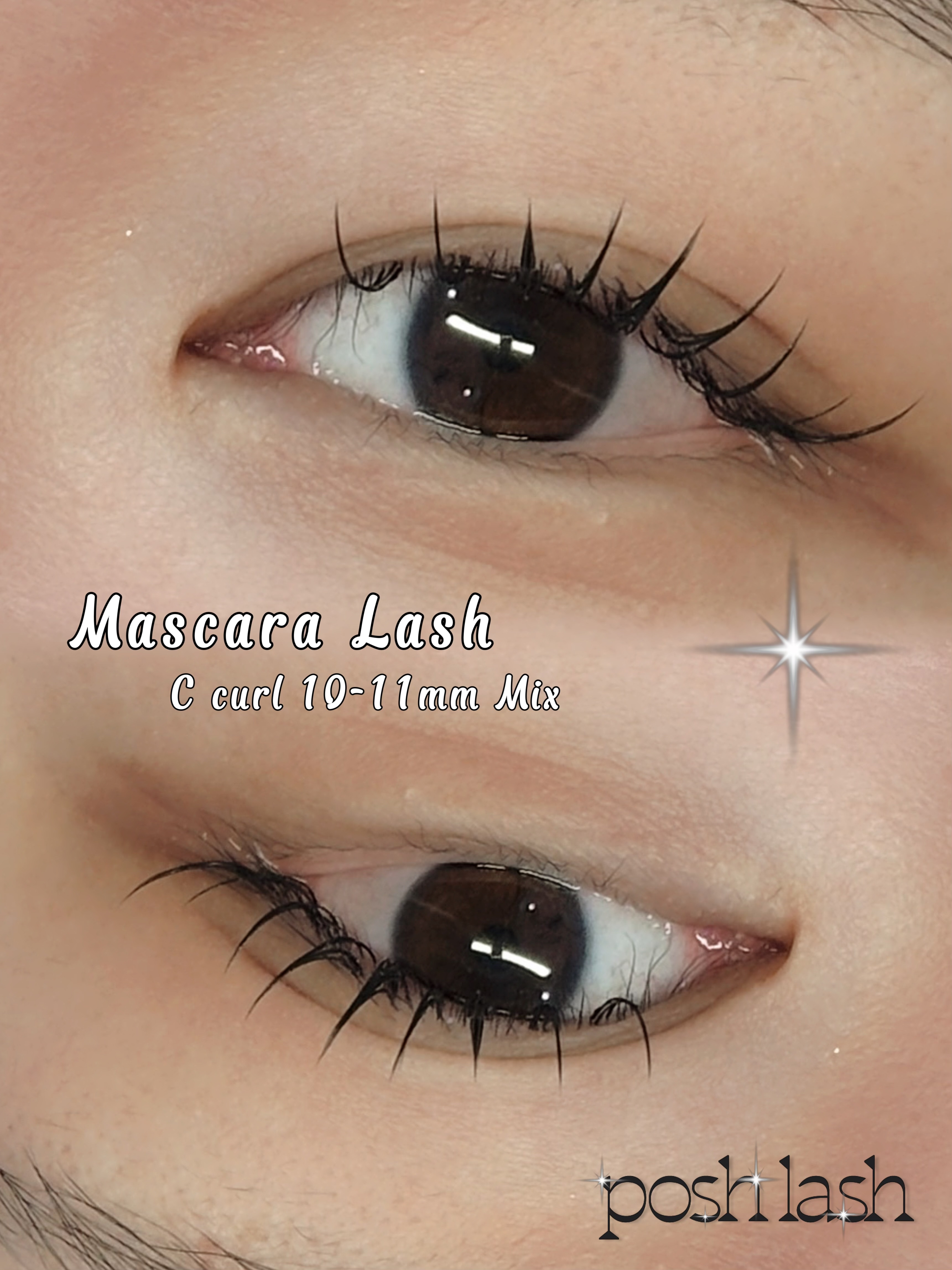 포쉬래쉬 대표 이미지