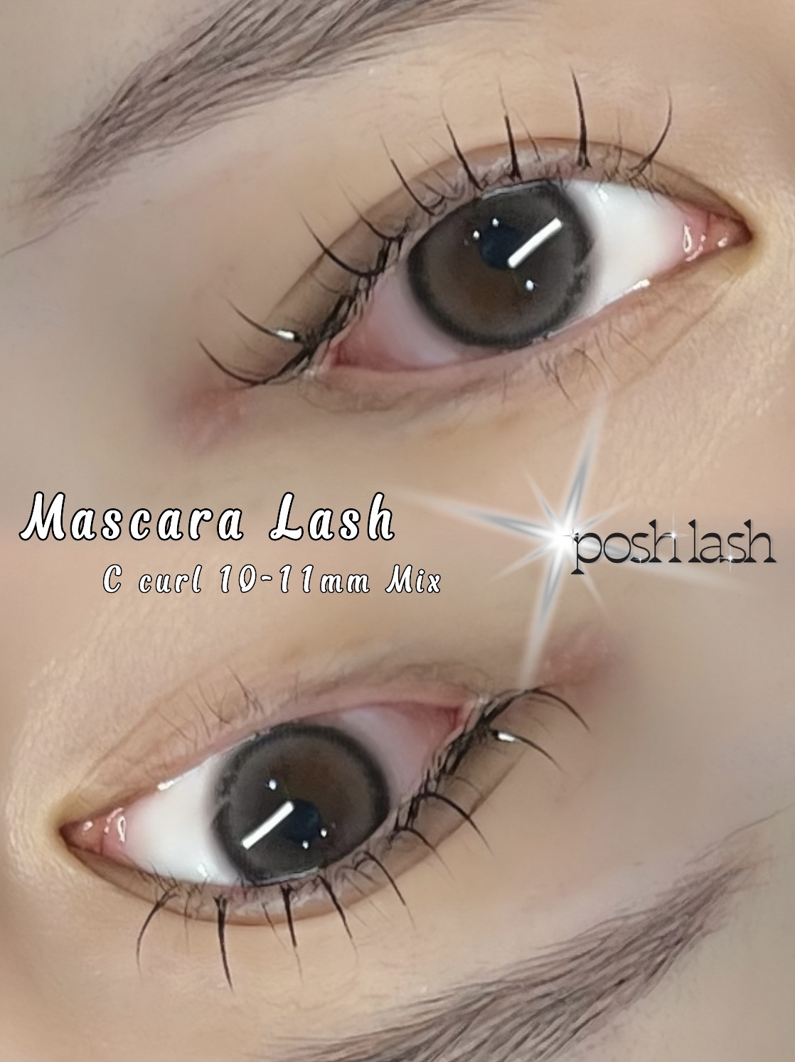 포쉬래쉬 대표 이미지