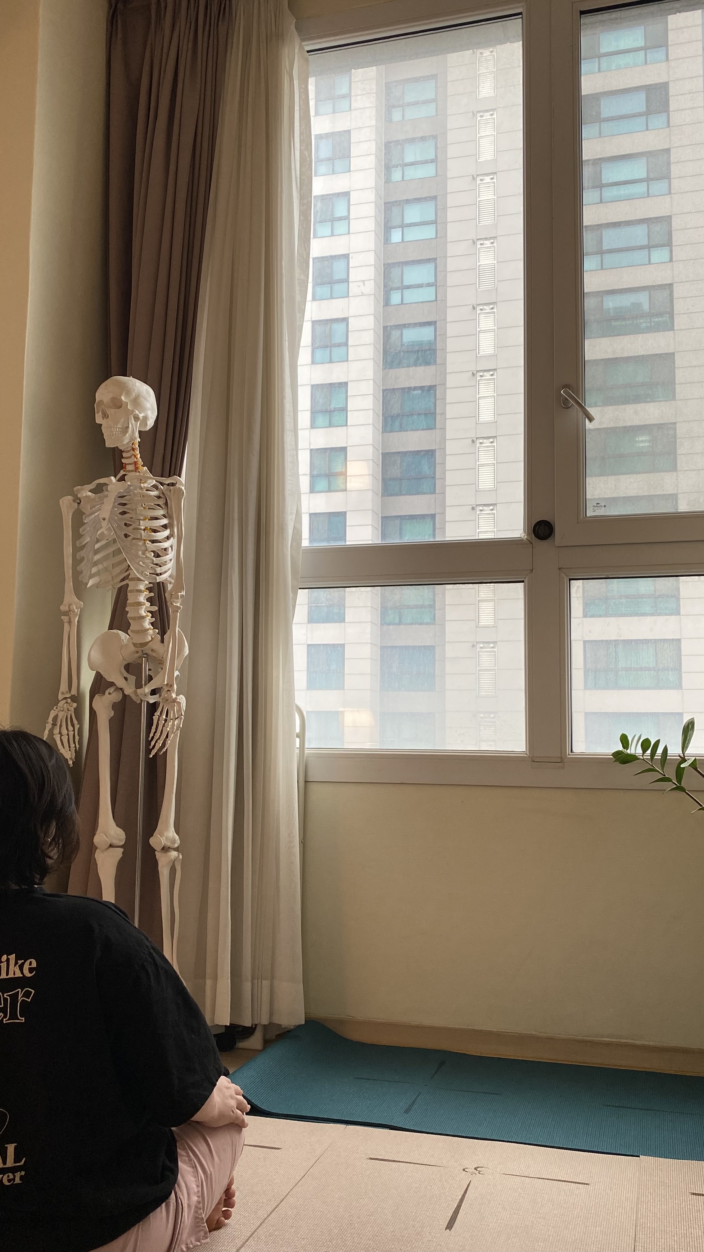 앨리스요가 대표 이미지