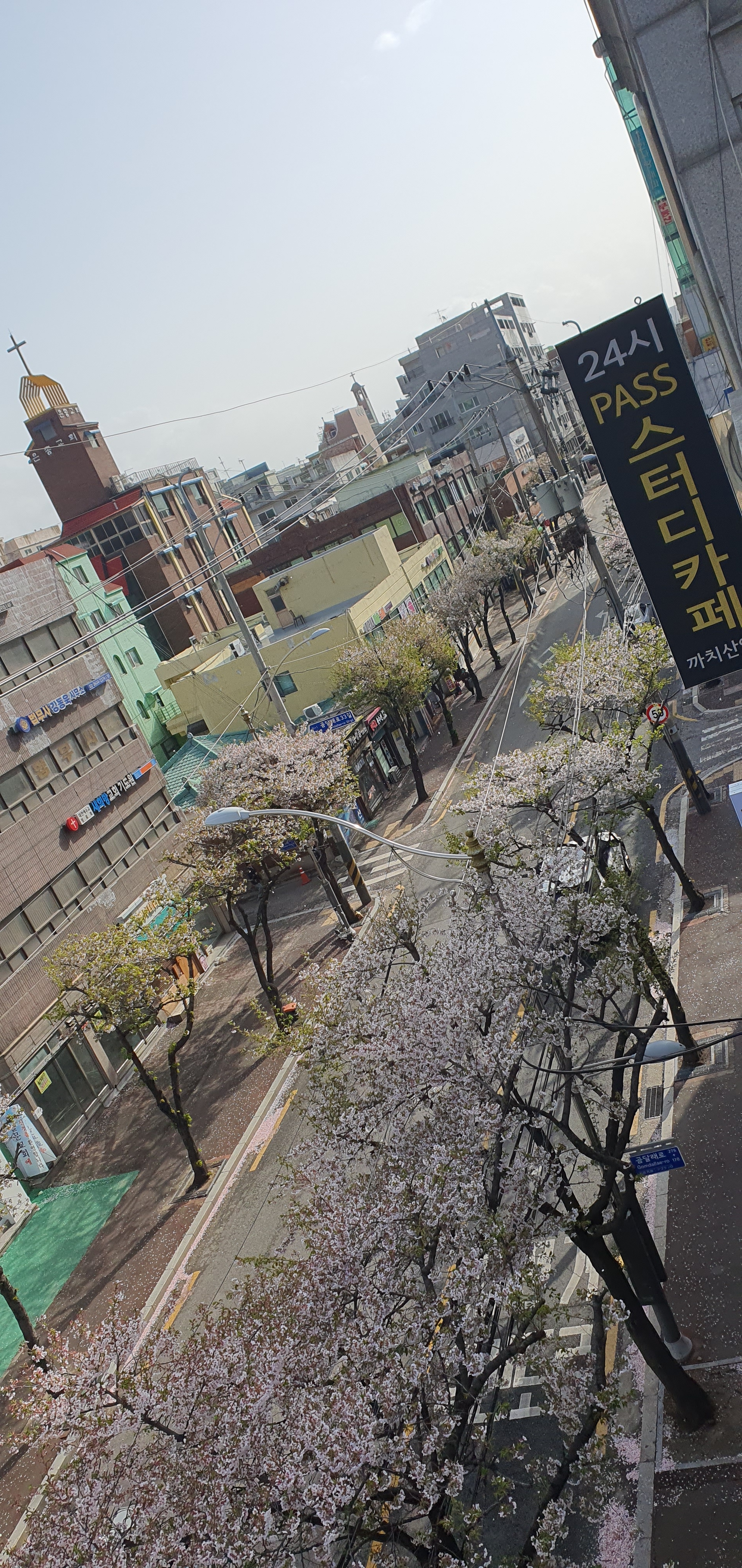업체사진