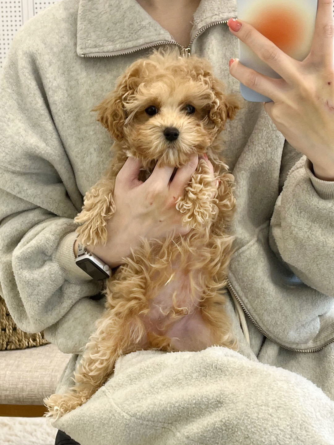 가온펫 안심분양센터 대표 이미지