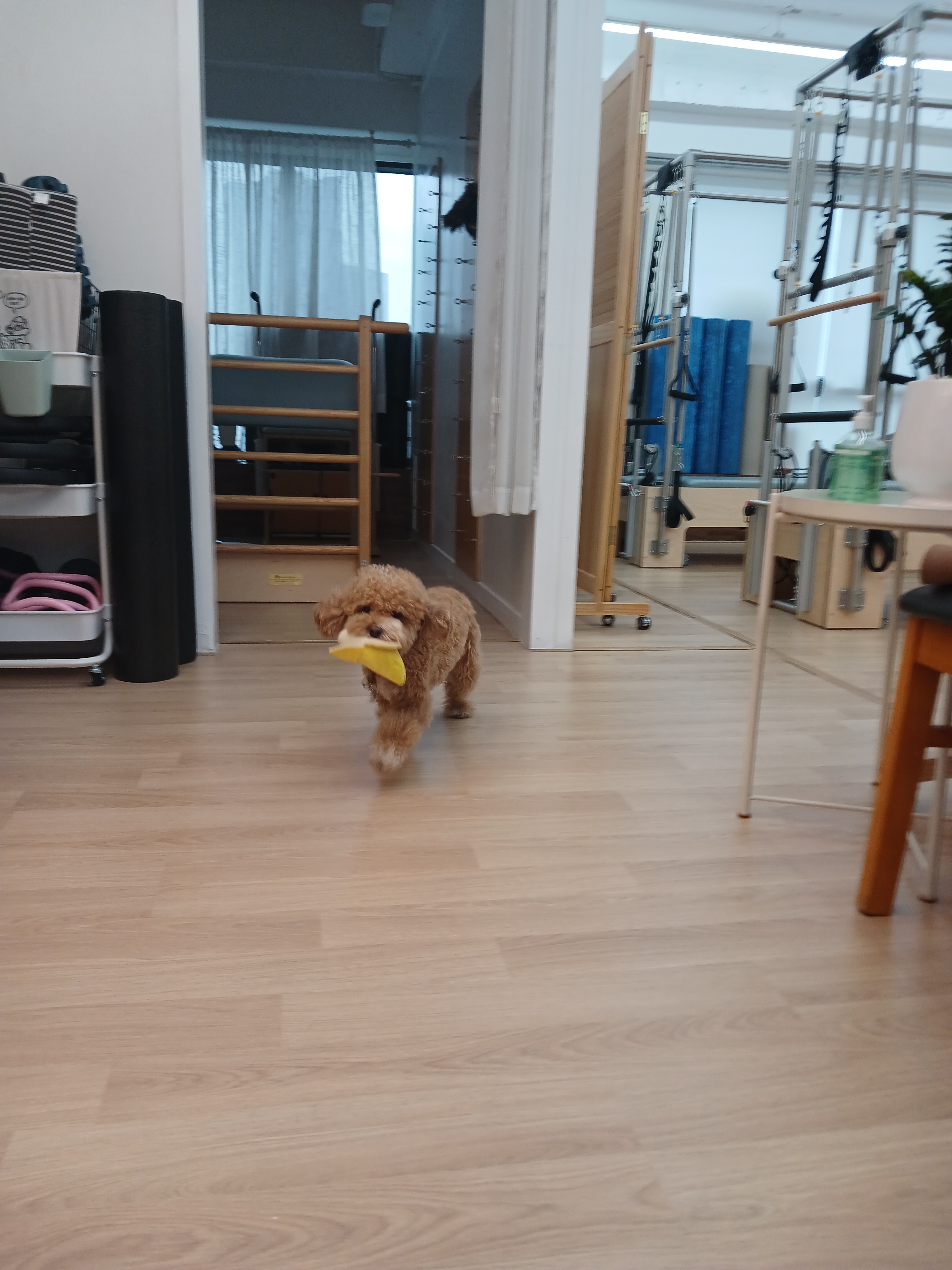 엘젠필라테스 수지구청역점 대표 이미지