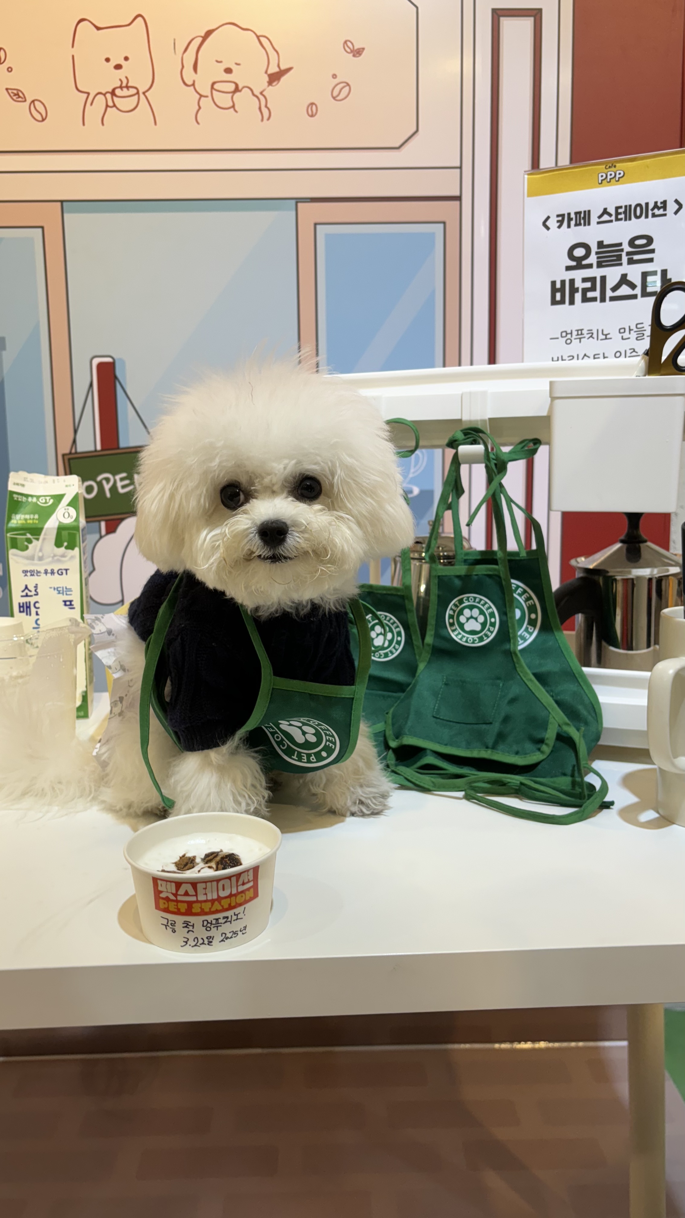 애견카페 피피피 대표 이미지