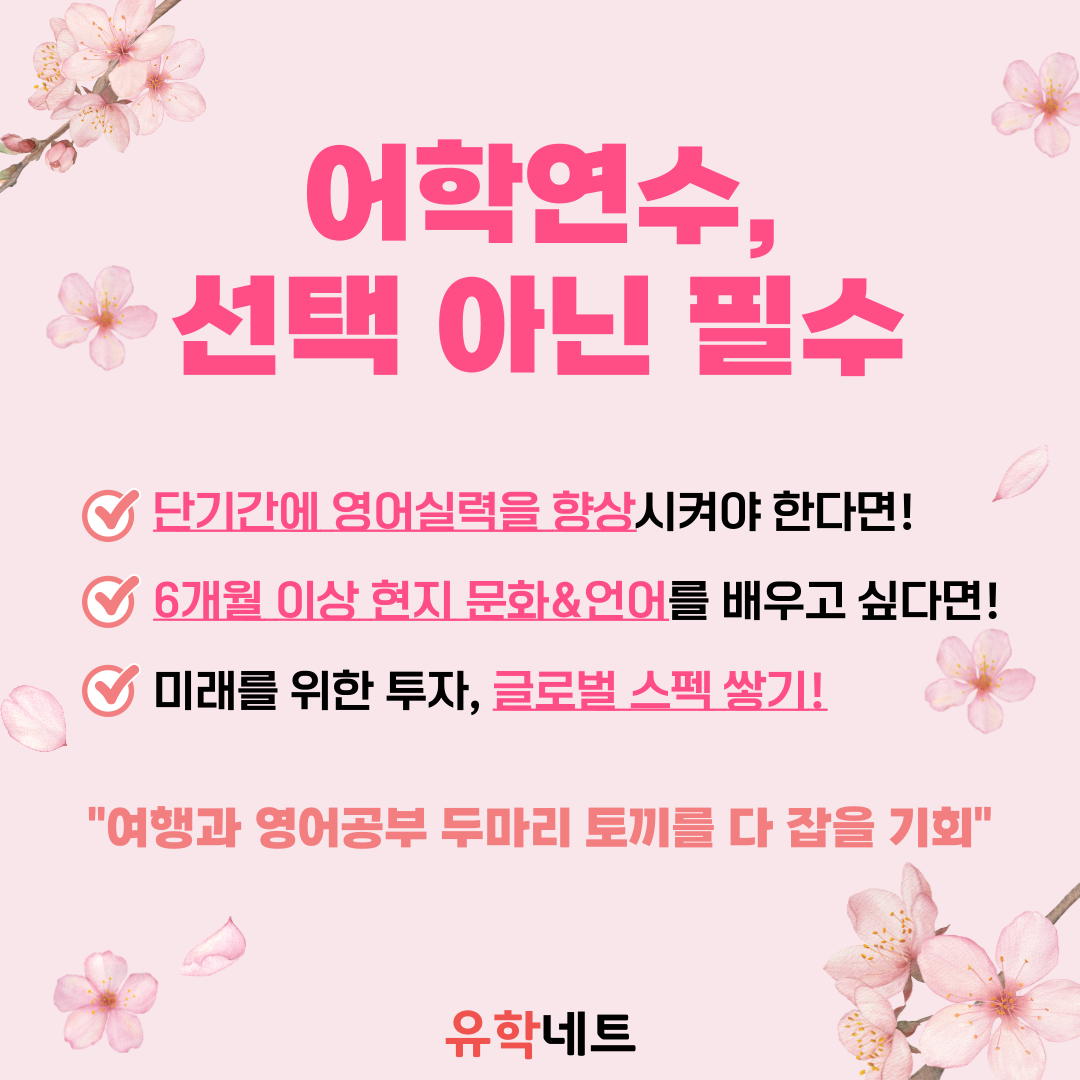 유학네트 강남센터