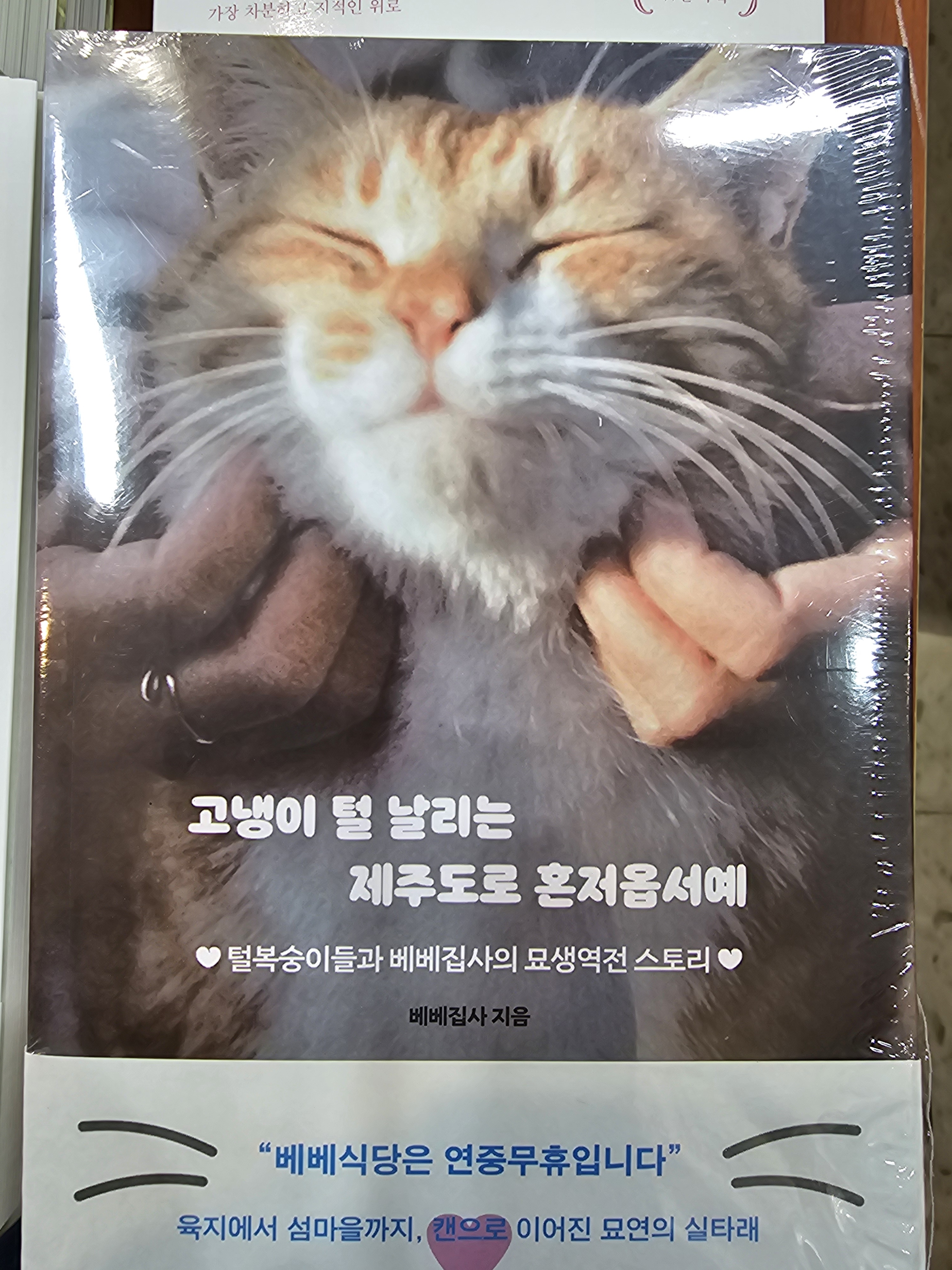 늘푸른서점
