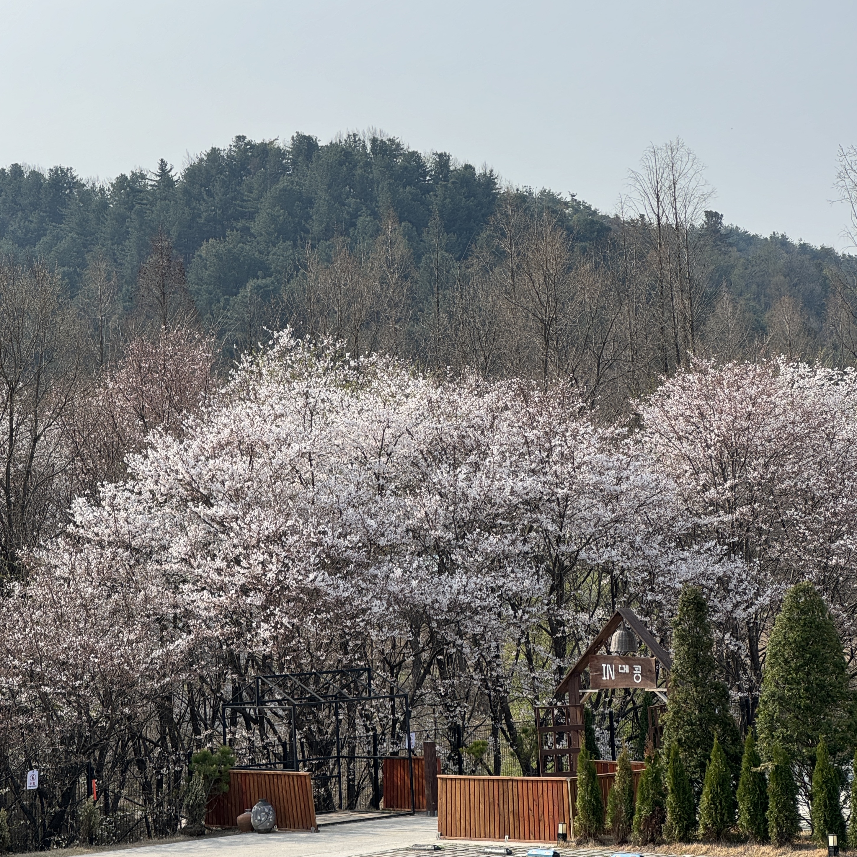 메콩카페 대표 이미지 (동남아풍 방갈로)