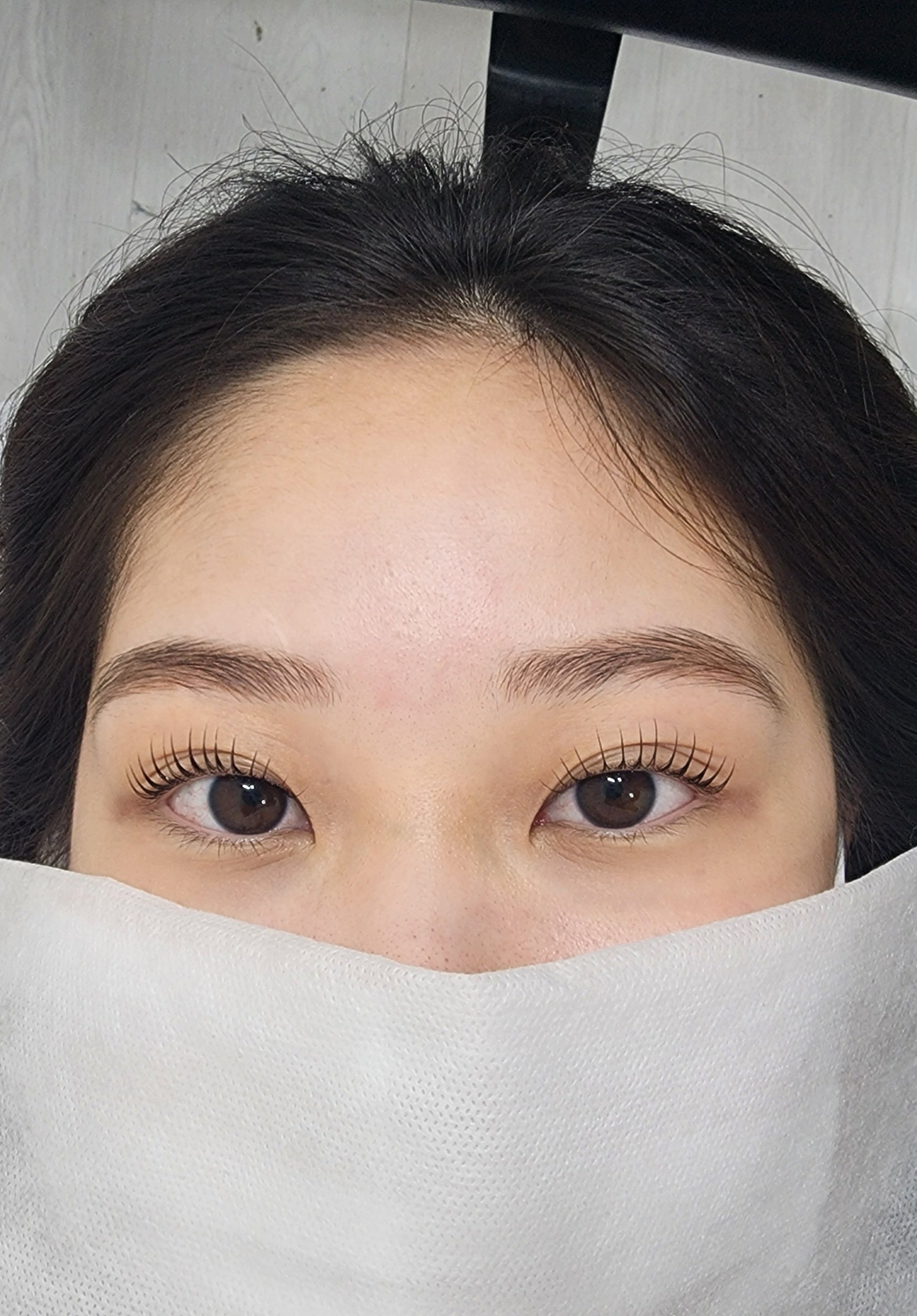 살롱더함 브로우