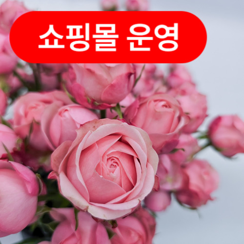 꽃샘꽃방