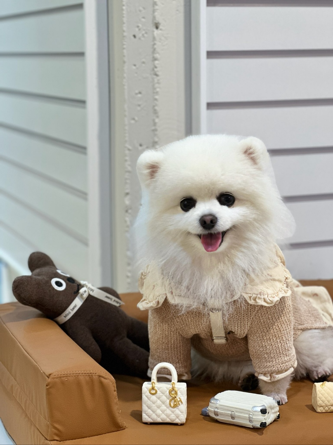 애견카페 피피피 펫스테이션점 반려동물 동반 애견카페