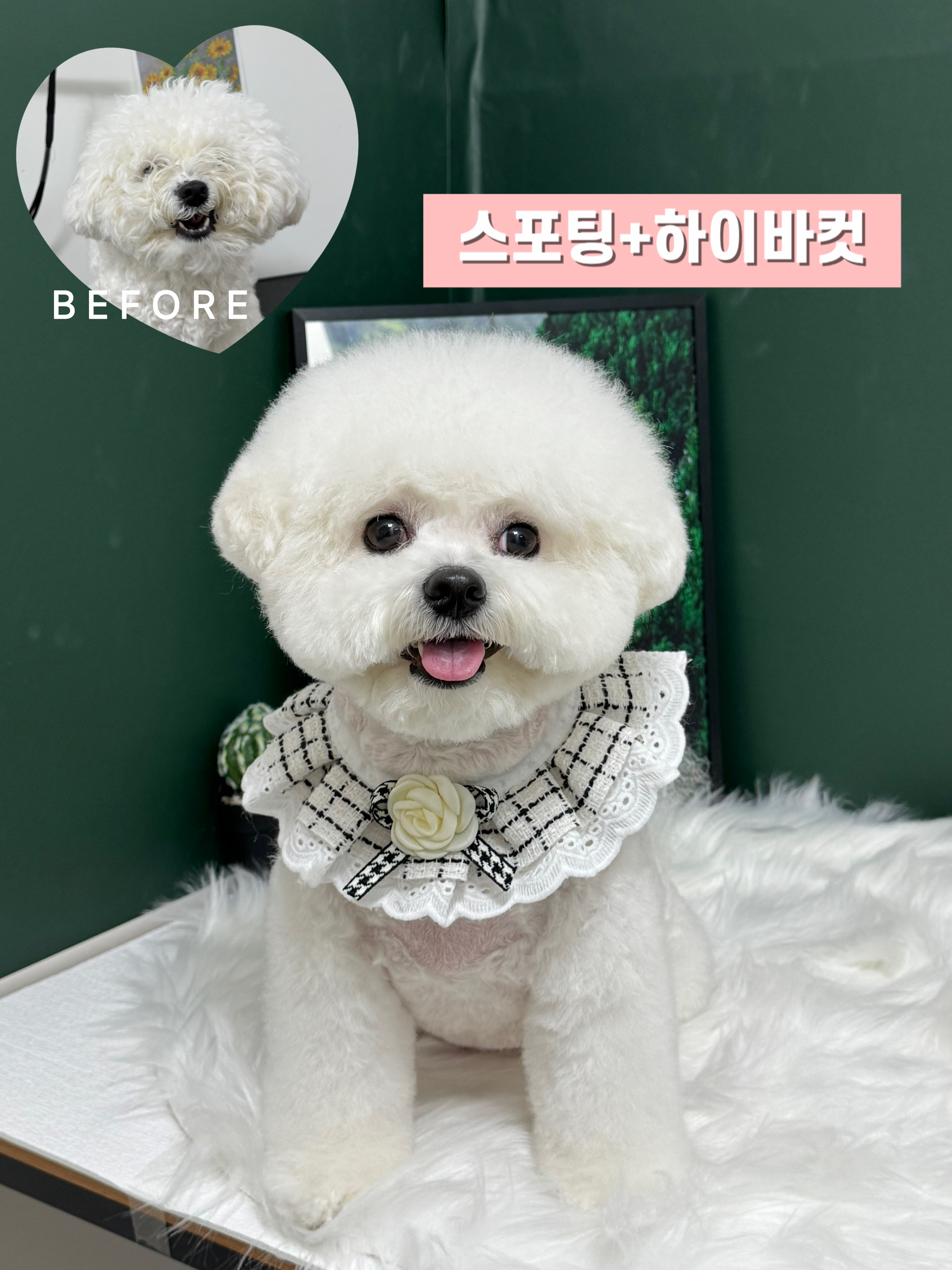 다시사랑받개 4