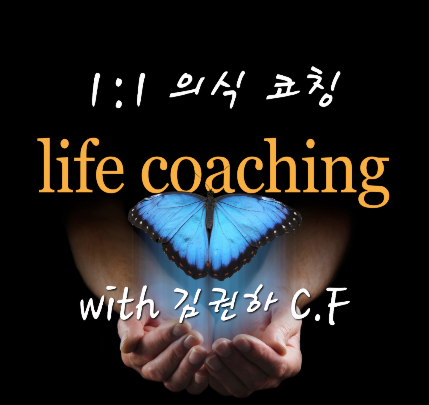 초 민감자 브레인 힐링센터