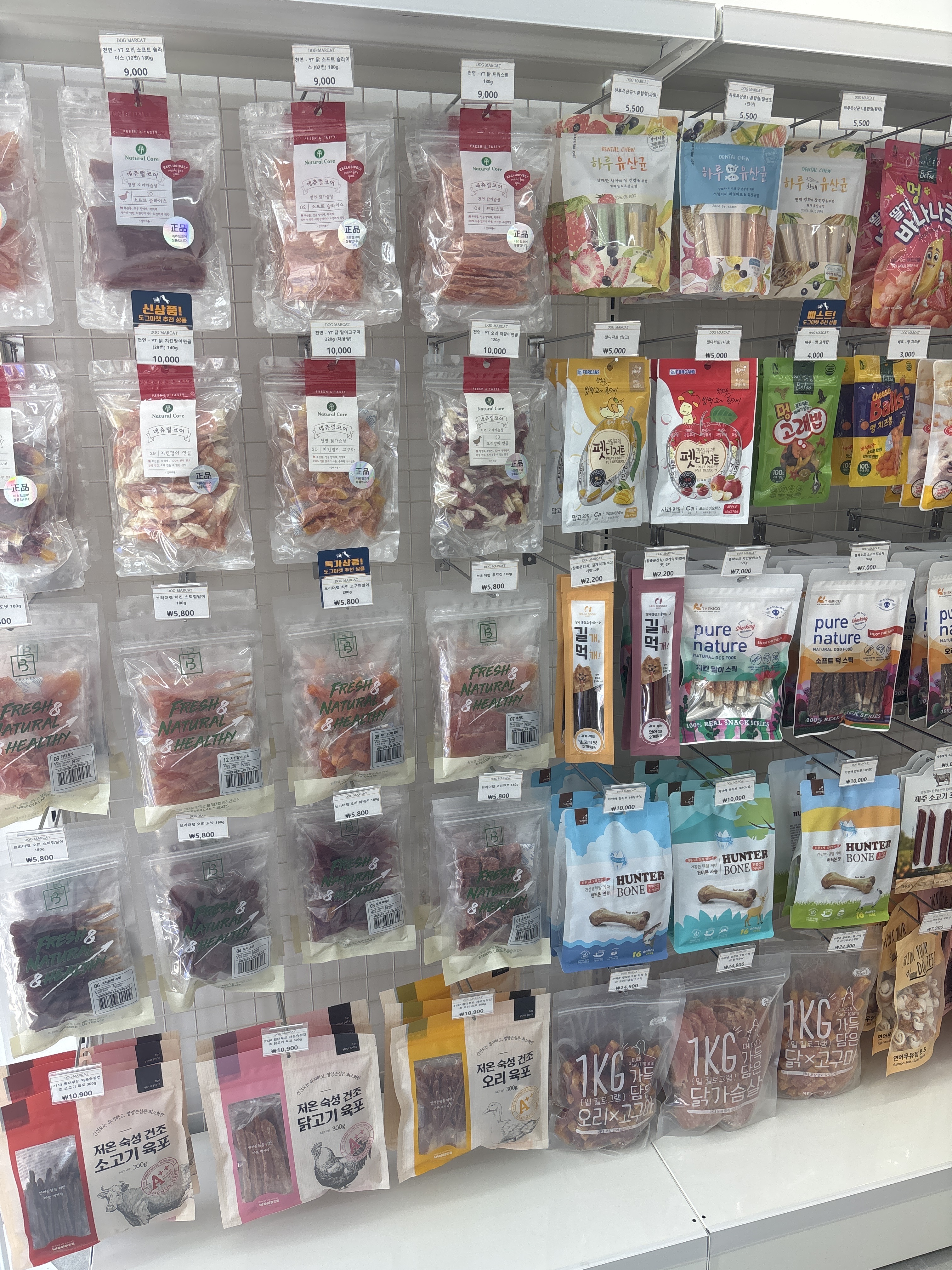 도그마캣 부산사직점 대표 이미지