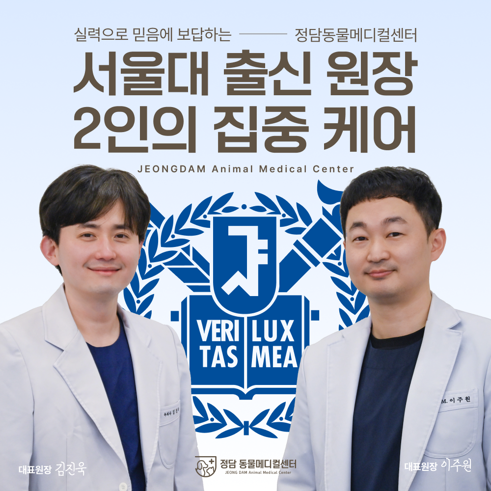 정담동물메디컬센터 대표 이미지