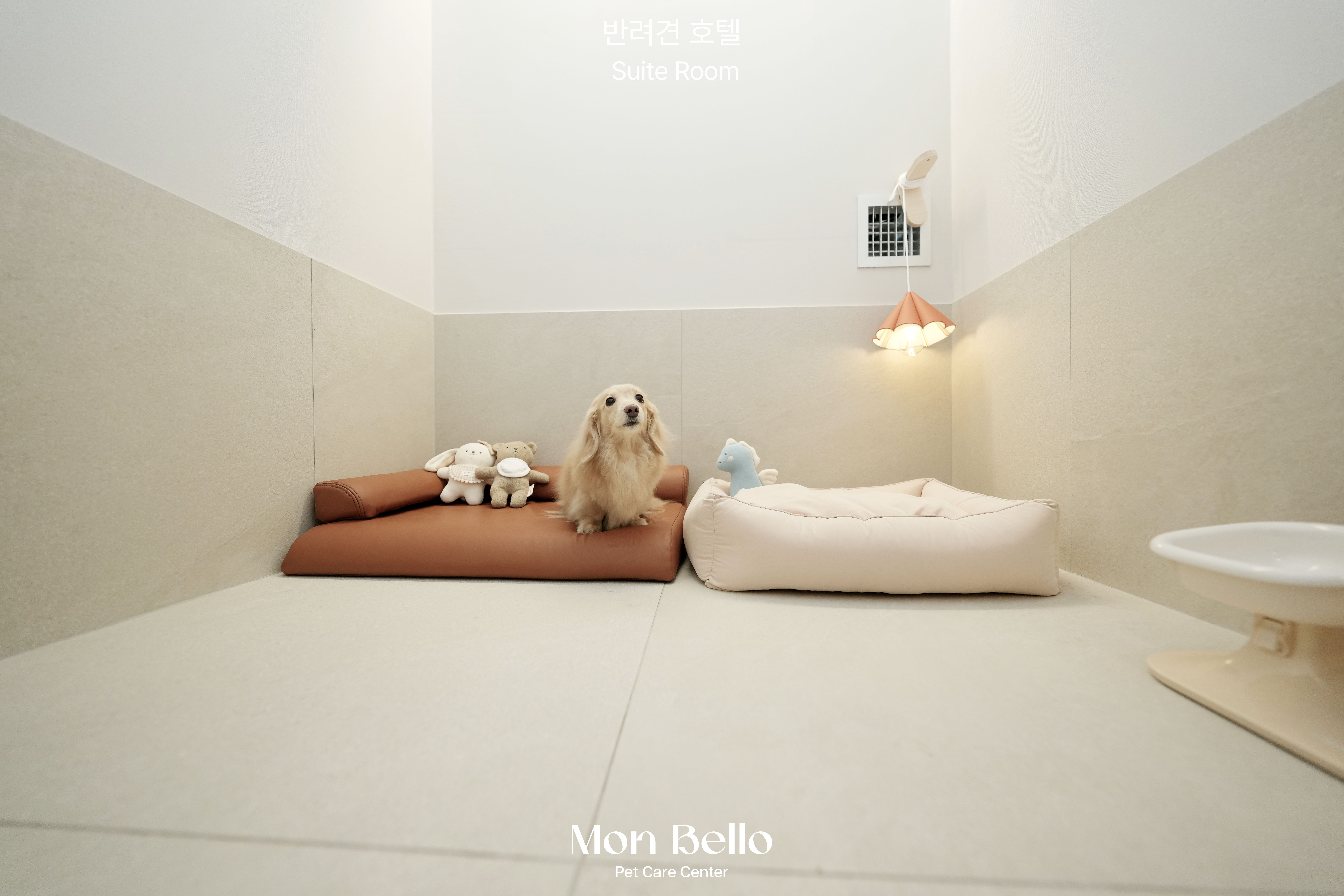 몽벨로 애견유치원/애견호텔/애견미용 대표 이미지