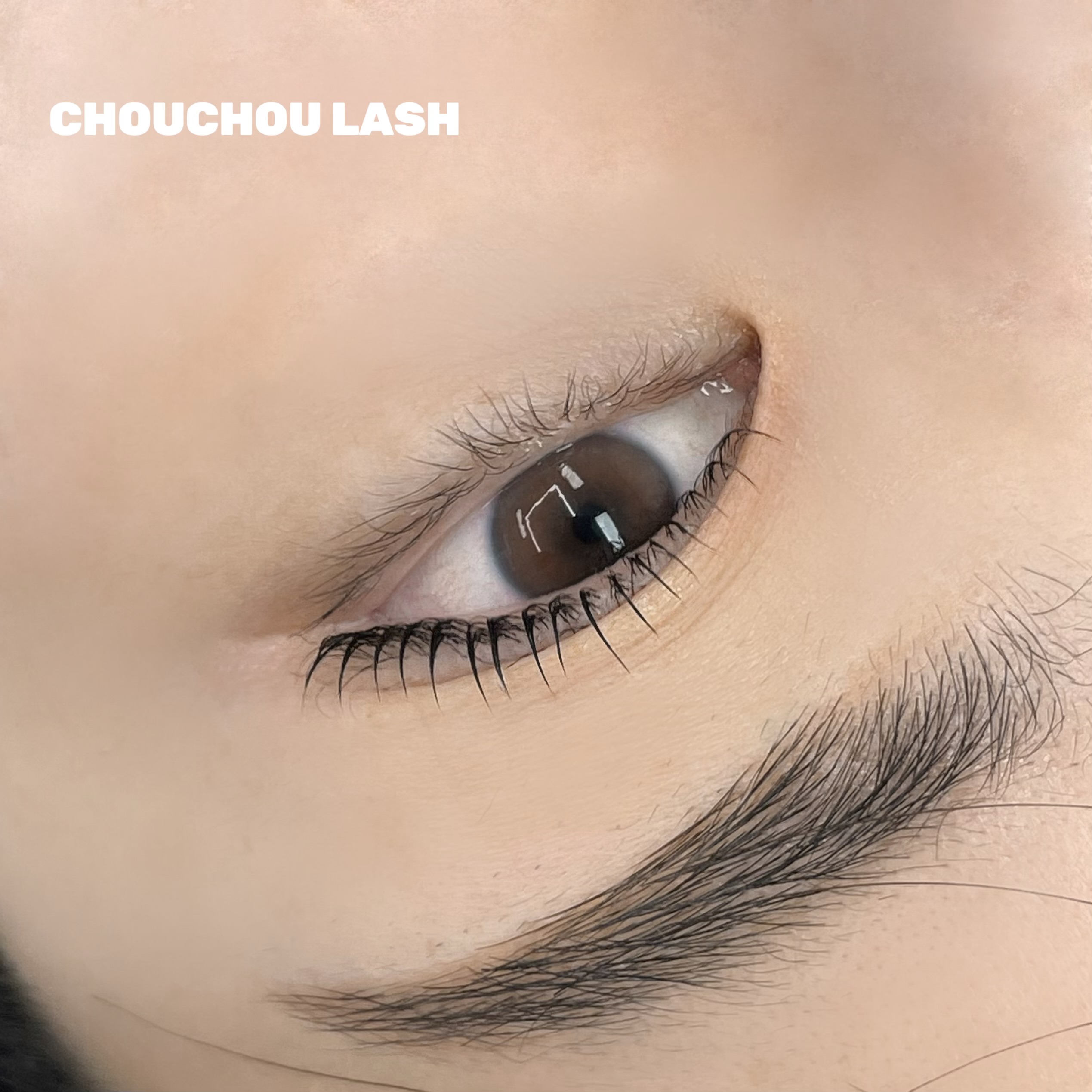 슈슈래쉬 대표 이미지