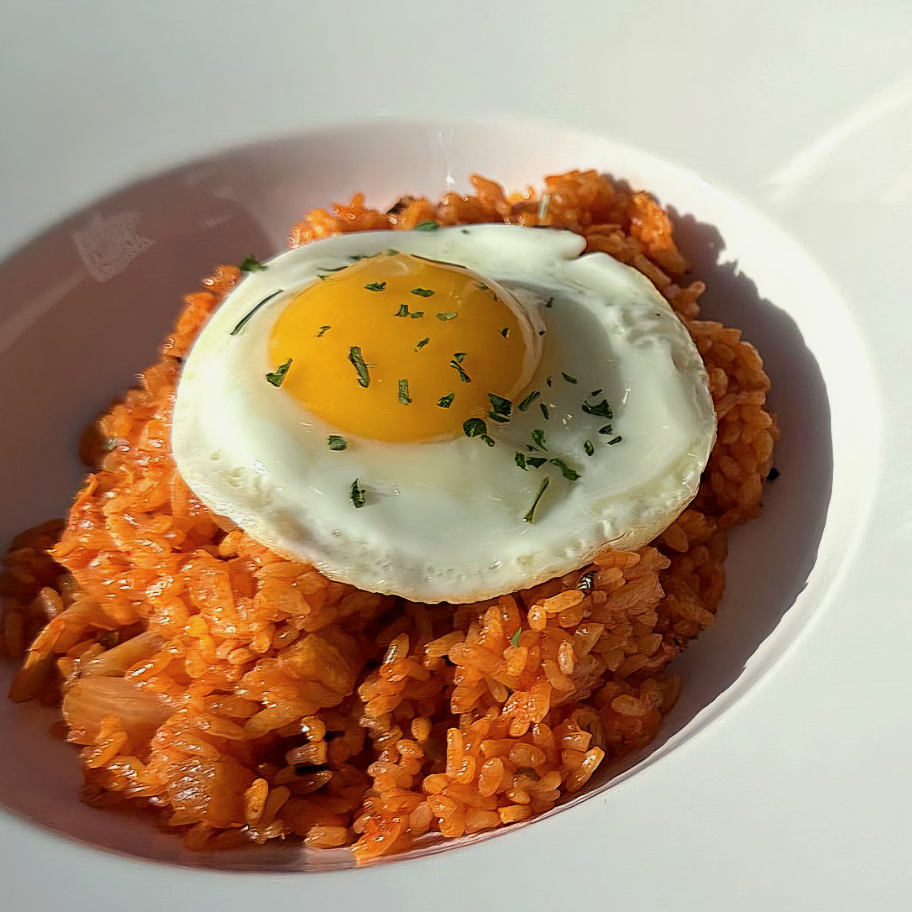 로마언니네 경상 애견맛집
