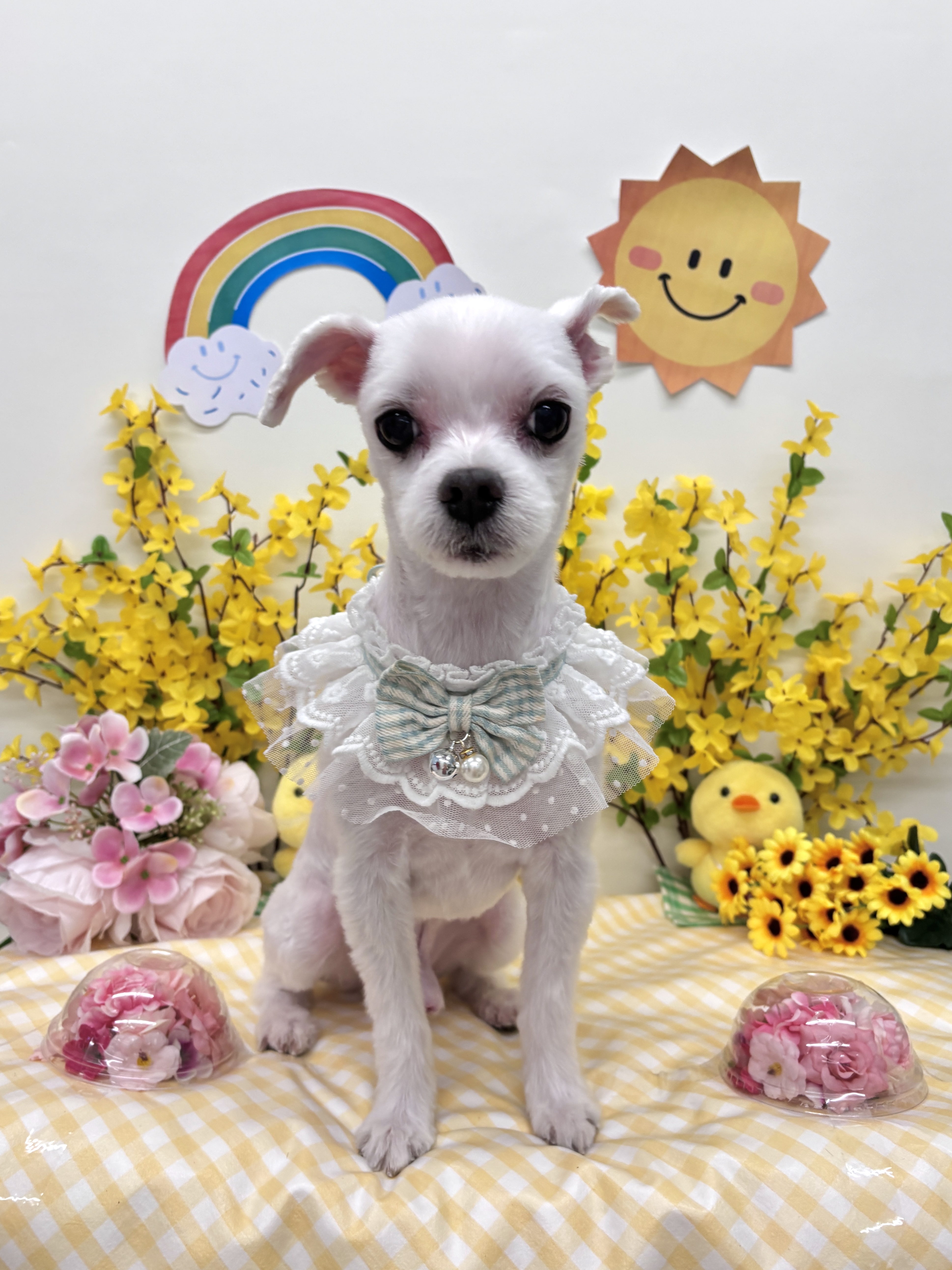 슬로베리 대표 이미지