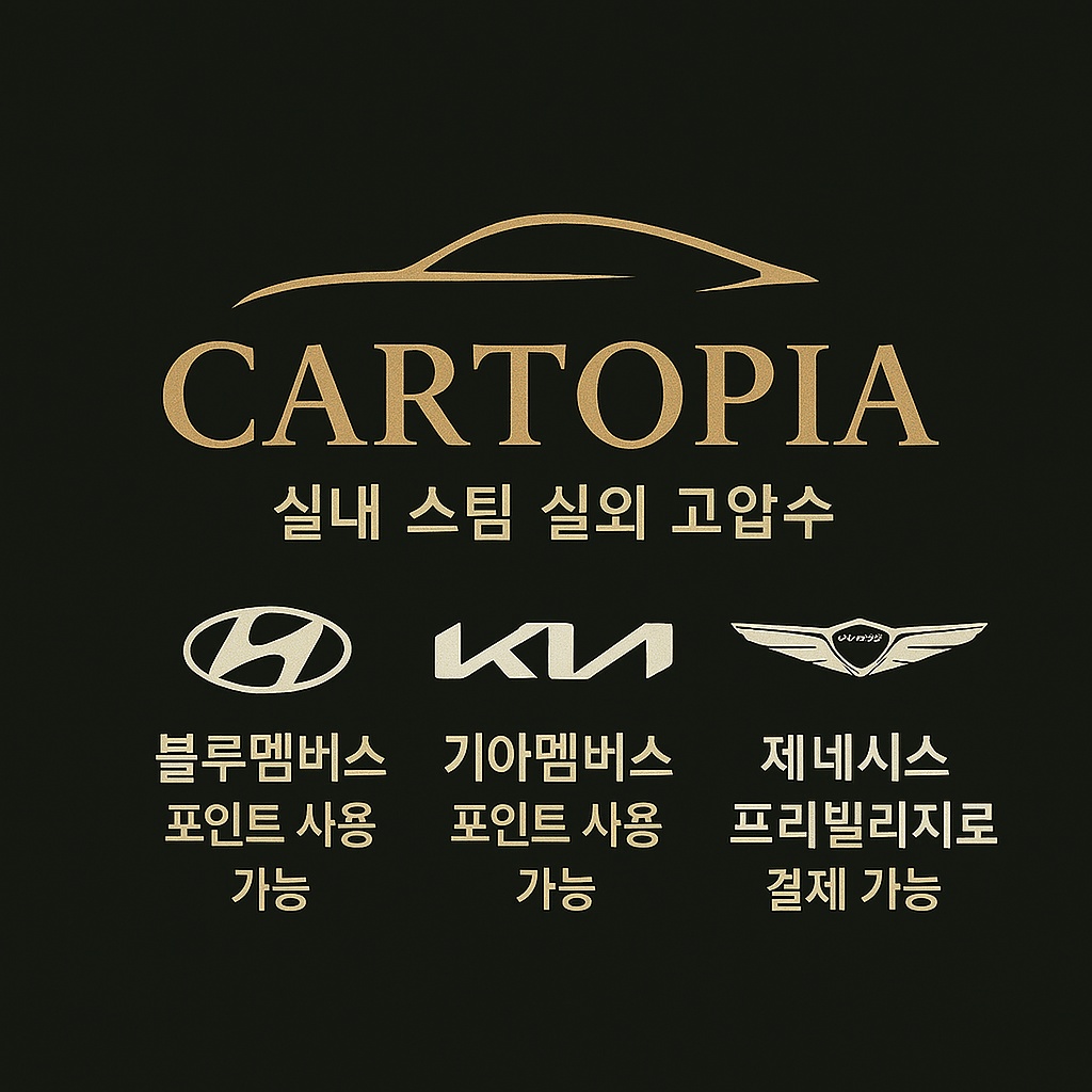 카토피아손세차장