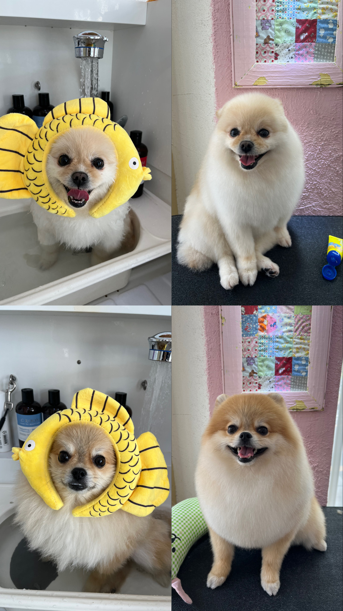 짱짱이네 대표 이미지
