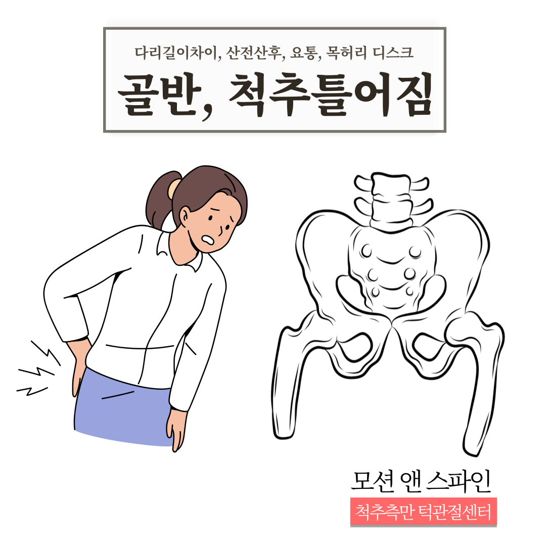 모션 앤 스파인 척추측만 턱관절 체형교정센터 대표 이미지