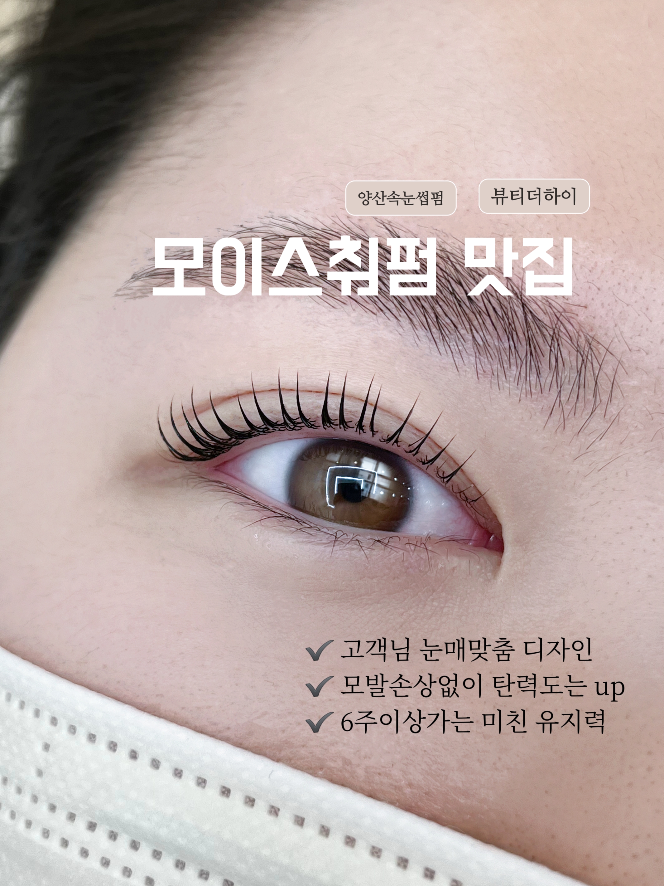 뷰티더하이