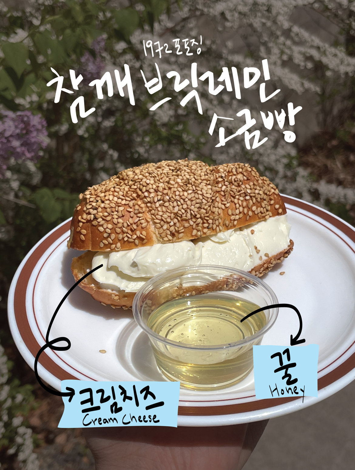 1972포포징