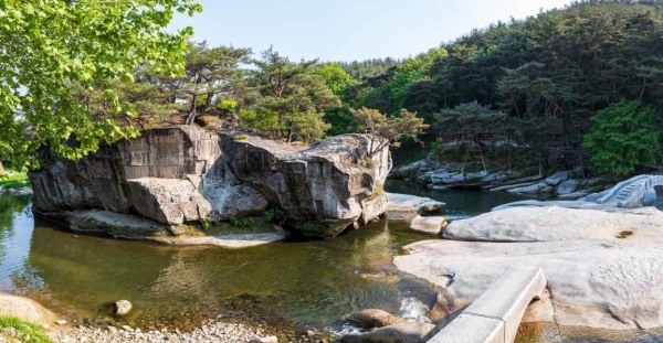 삼성여행사 대구