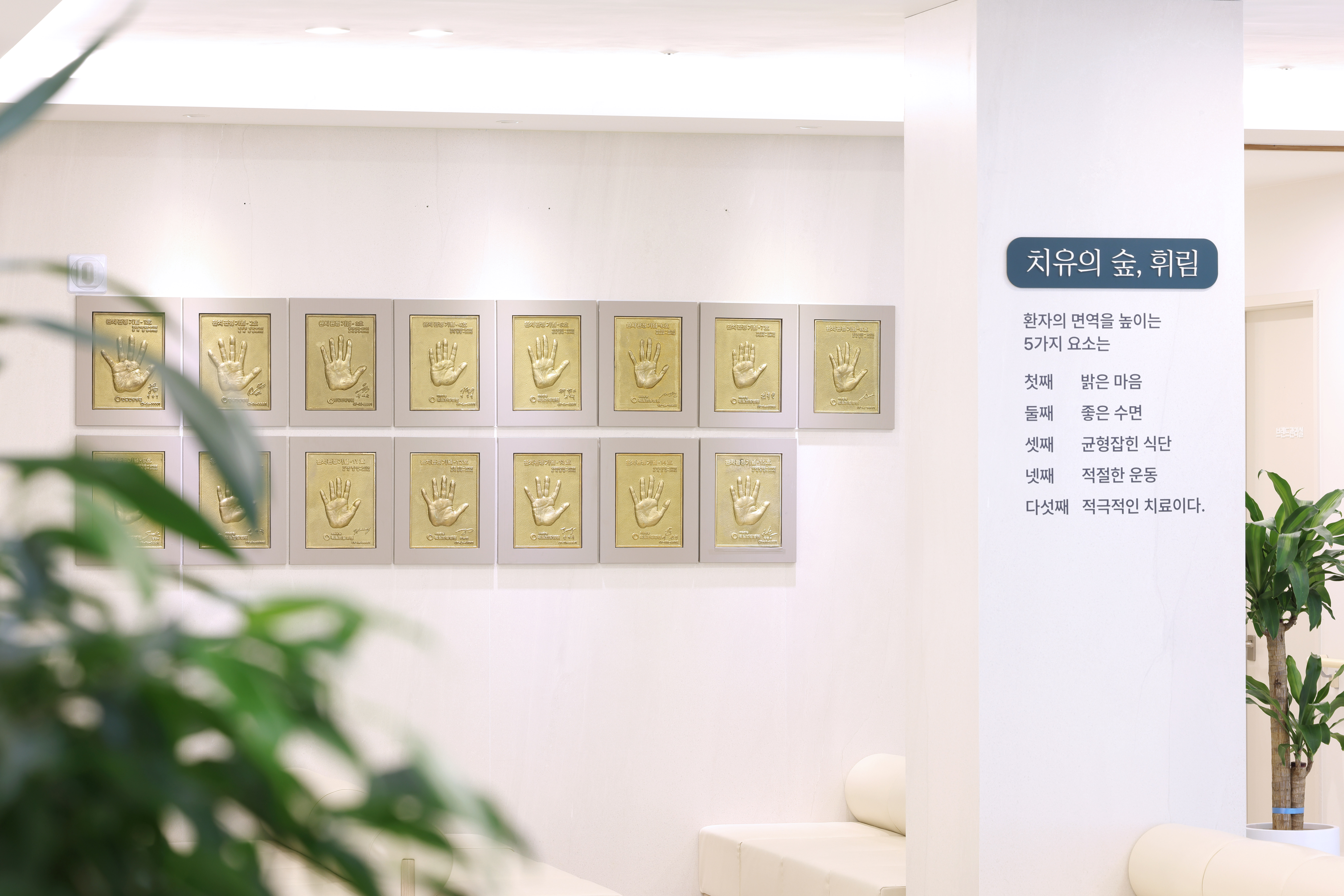휘림한방병원 대표 이미지