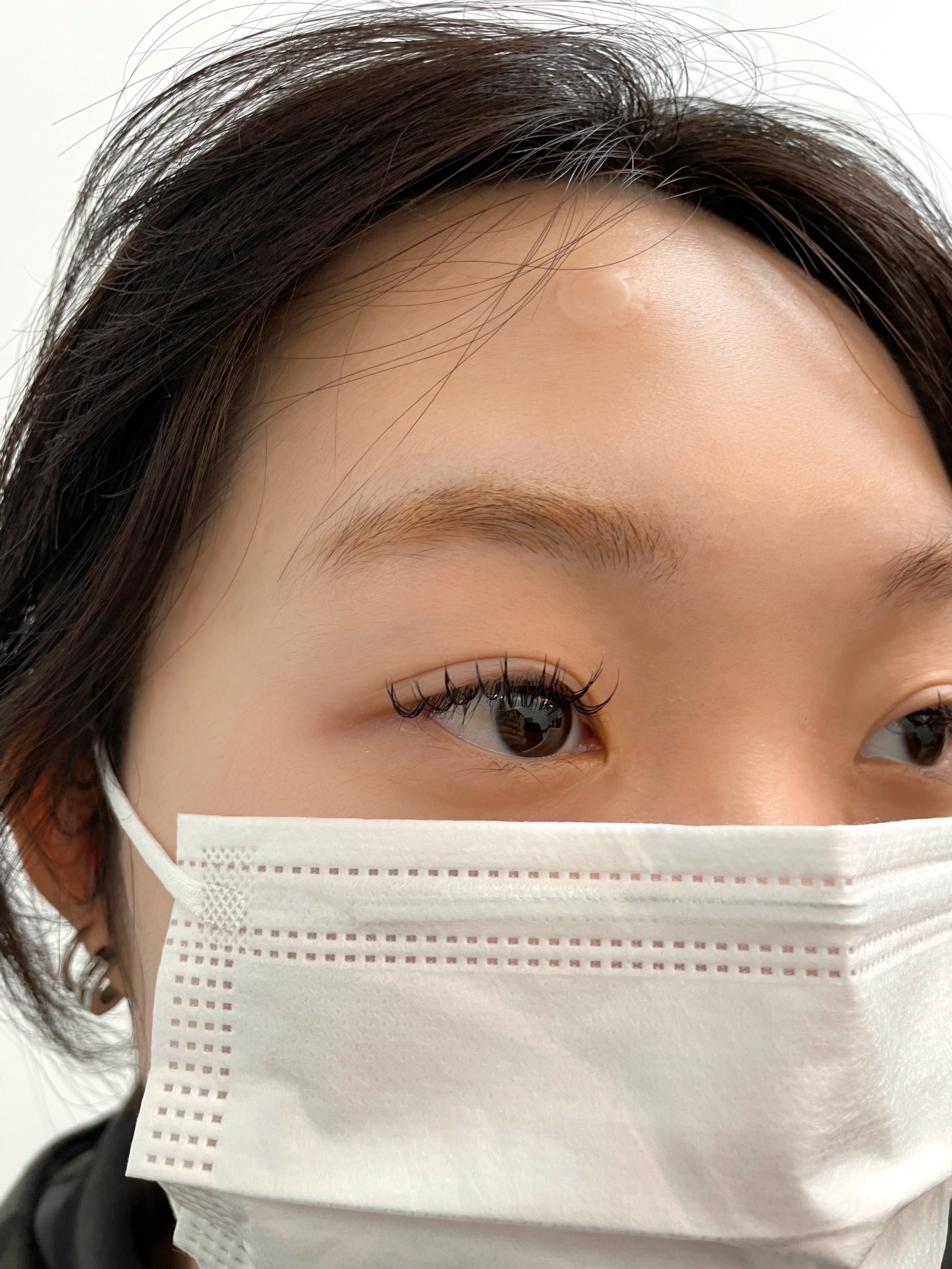 캄무드 대표 이미지