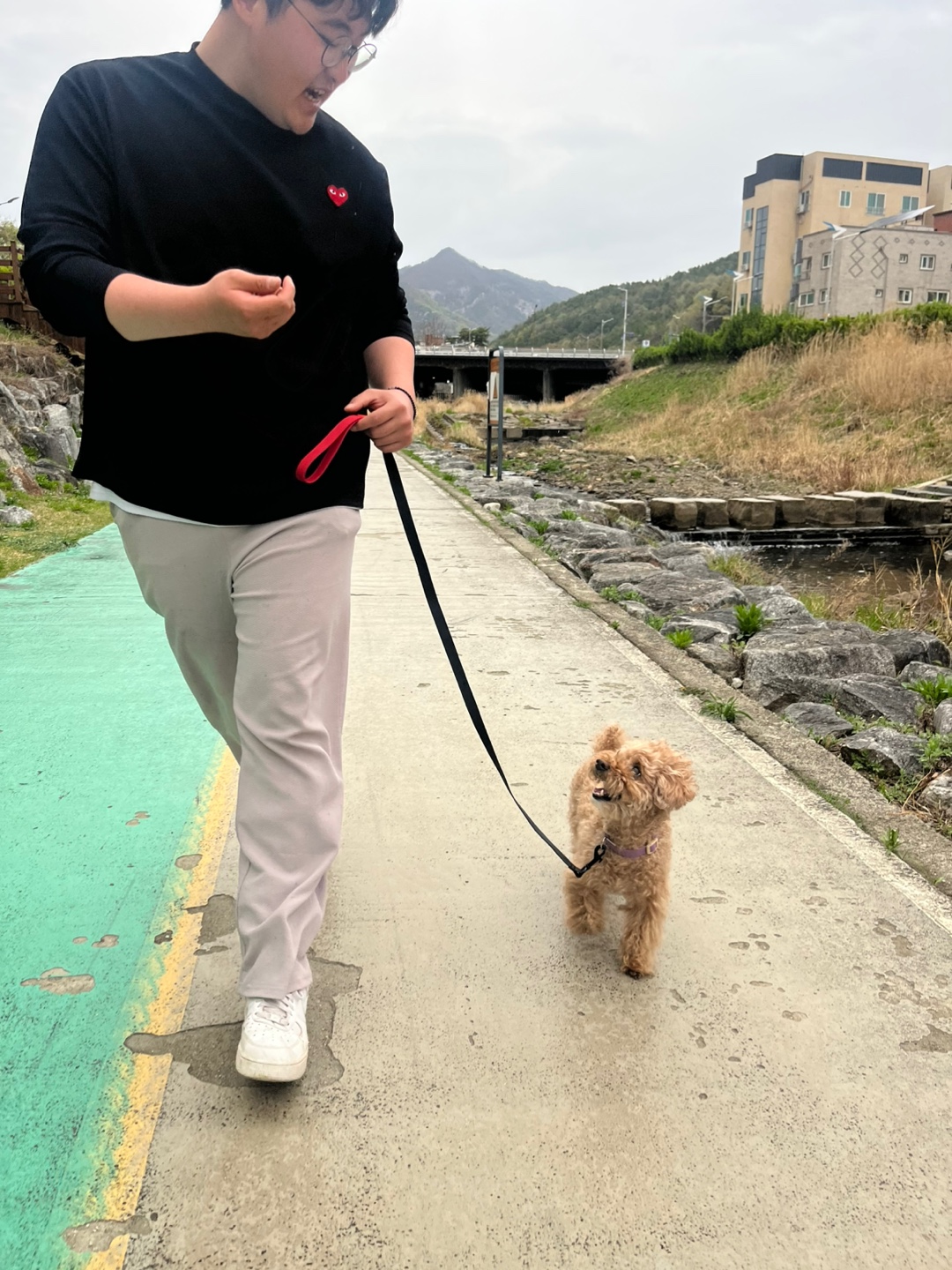 품독 강아지교육 대표 이미지