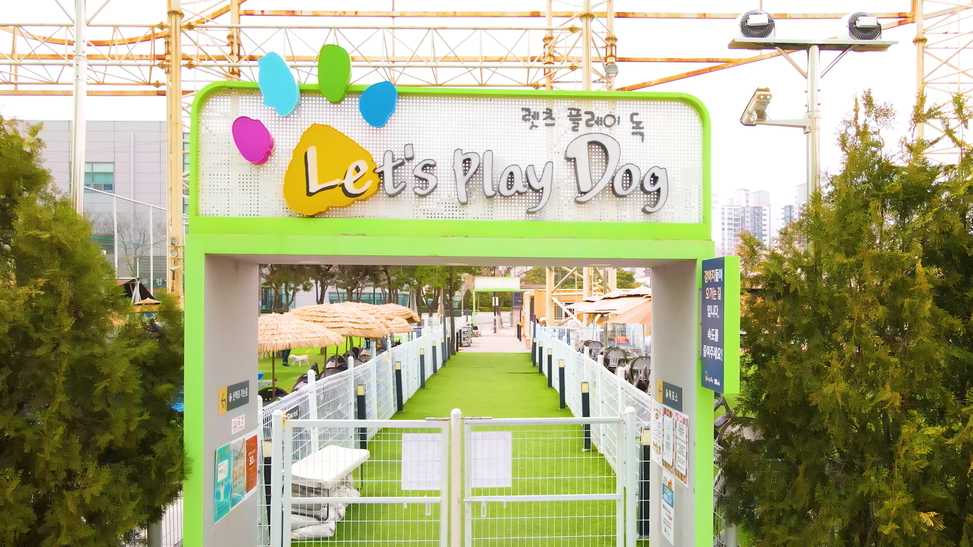 렛츠플레이독 대표 이미지