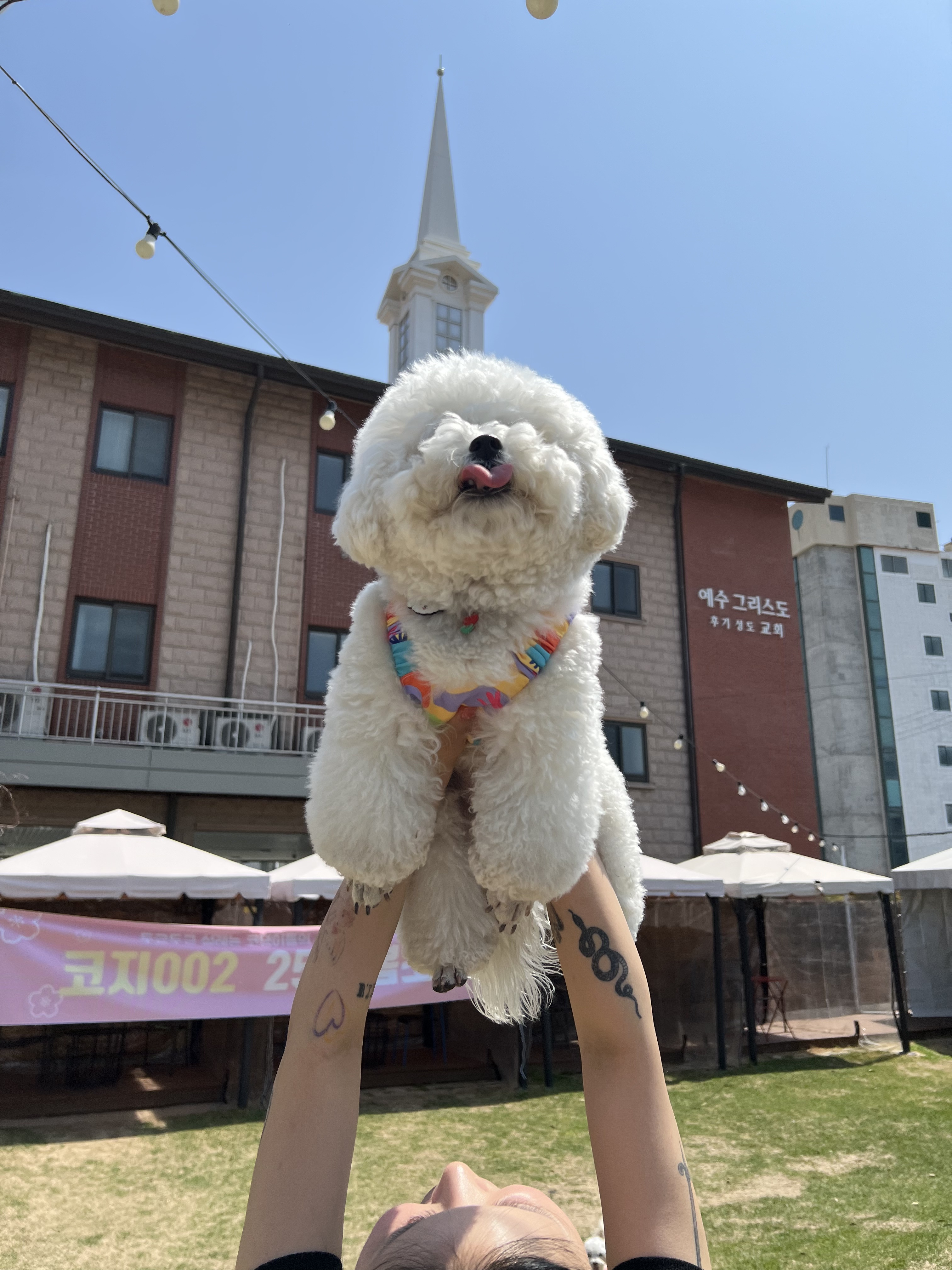 카페우야우 2