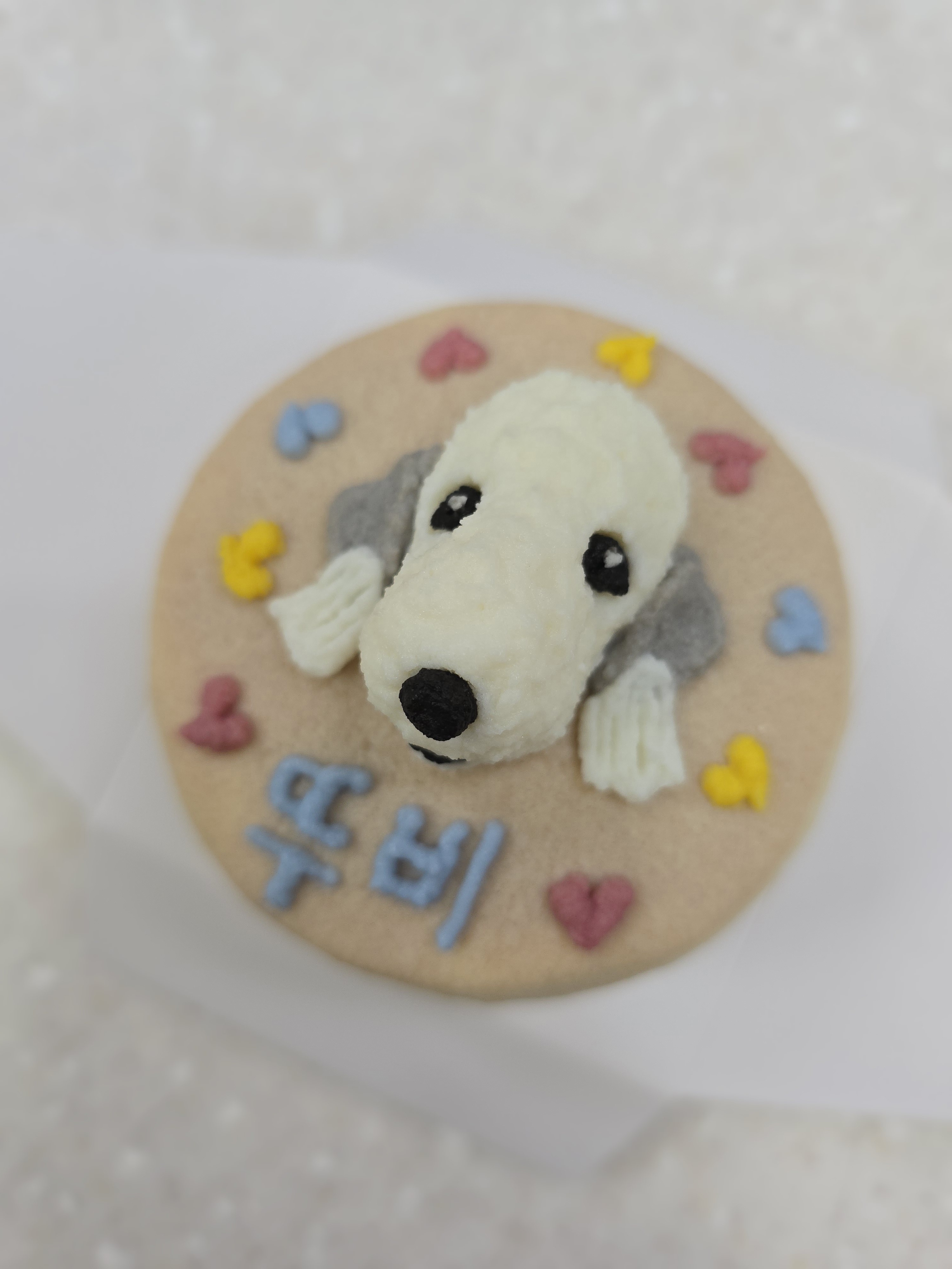 맛있개신나개 대표 이미지