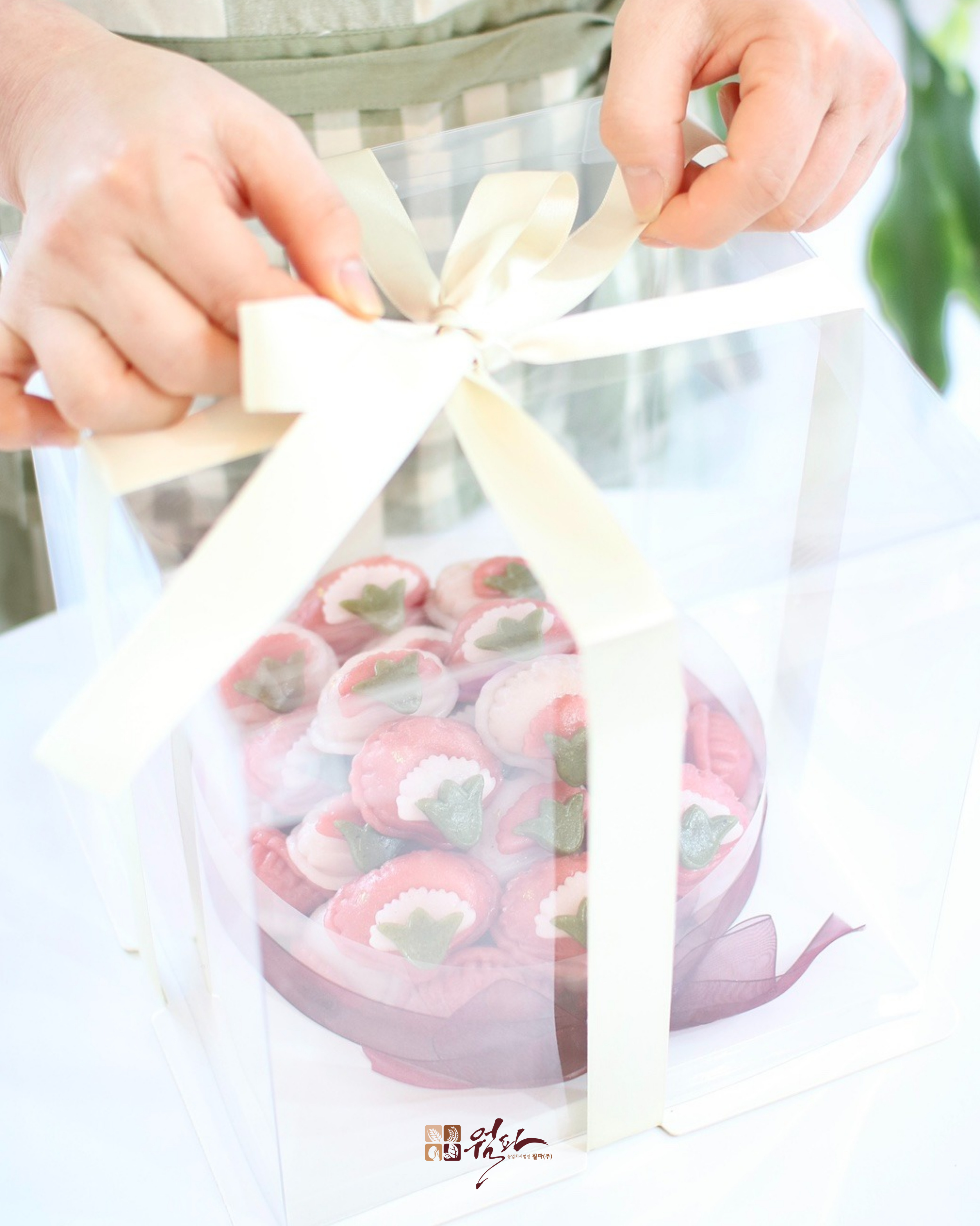 월파 대표 이미지