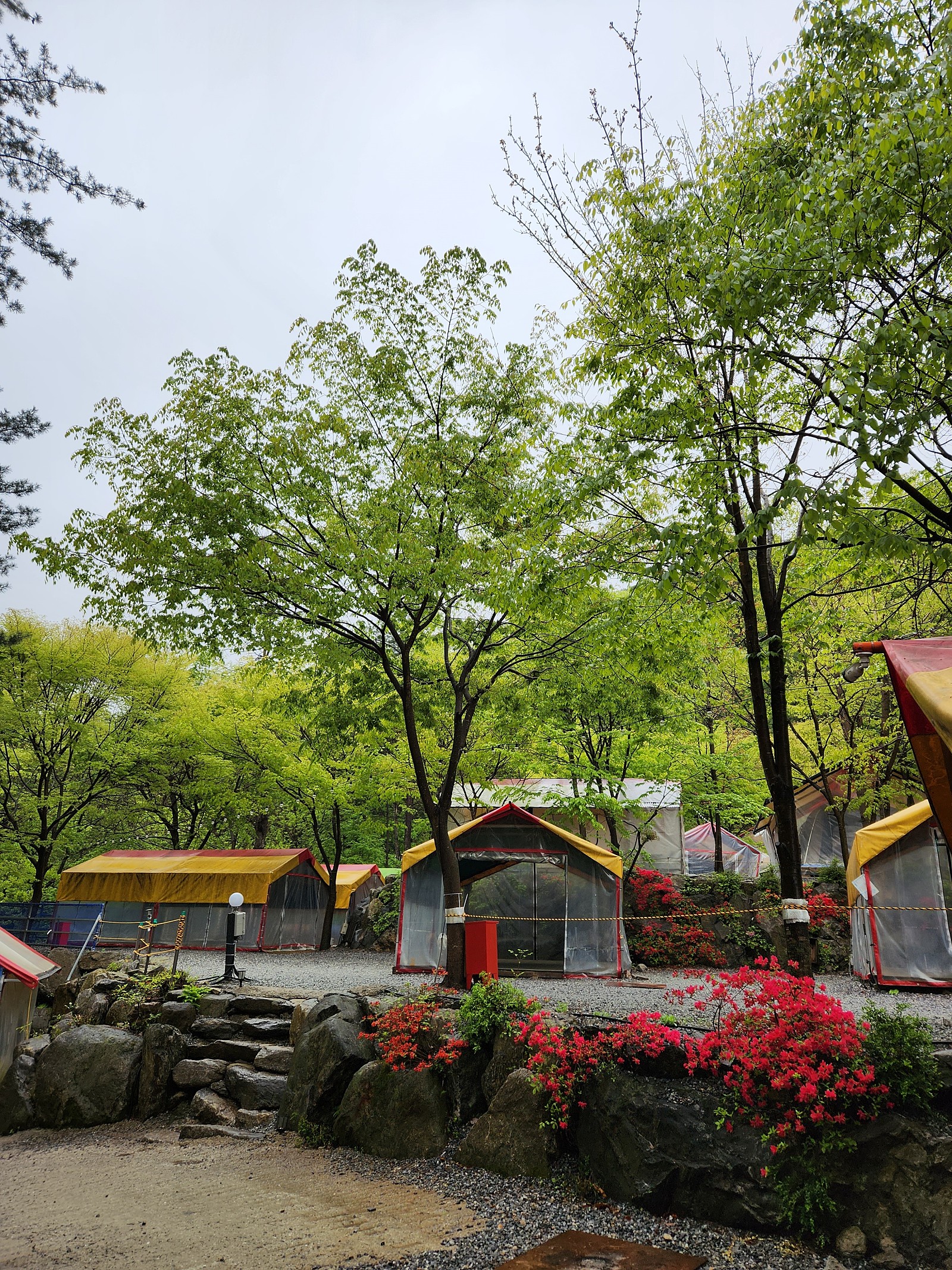 유명산라온캠핑장