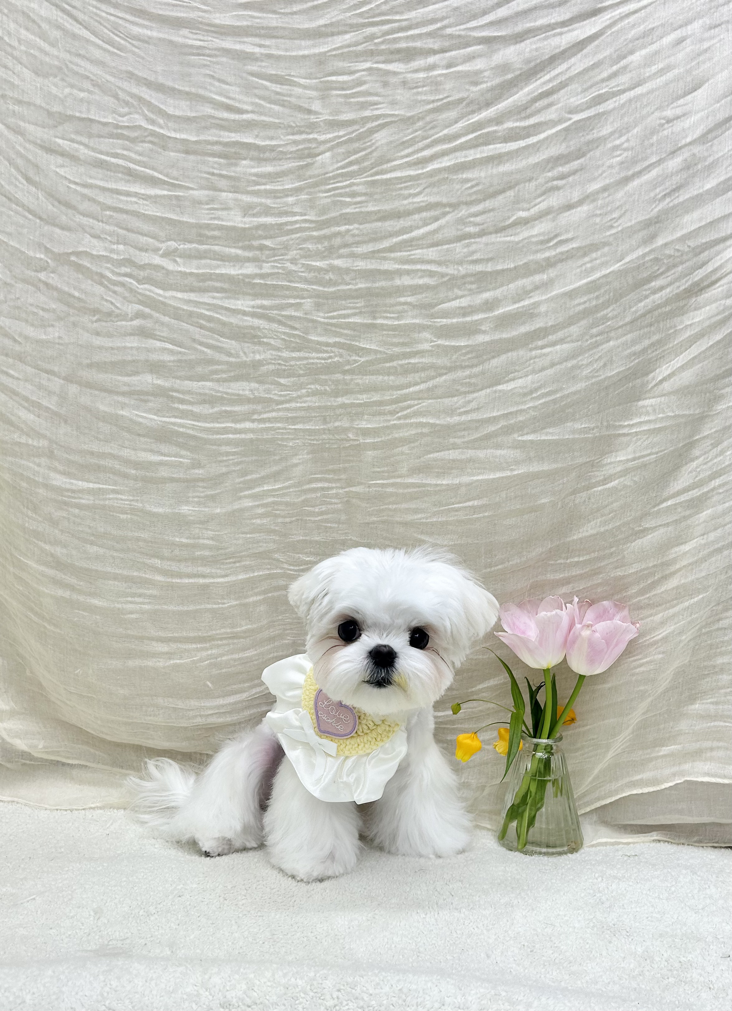 도루몽실 대표 이미지