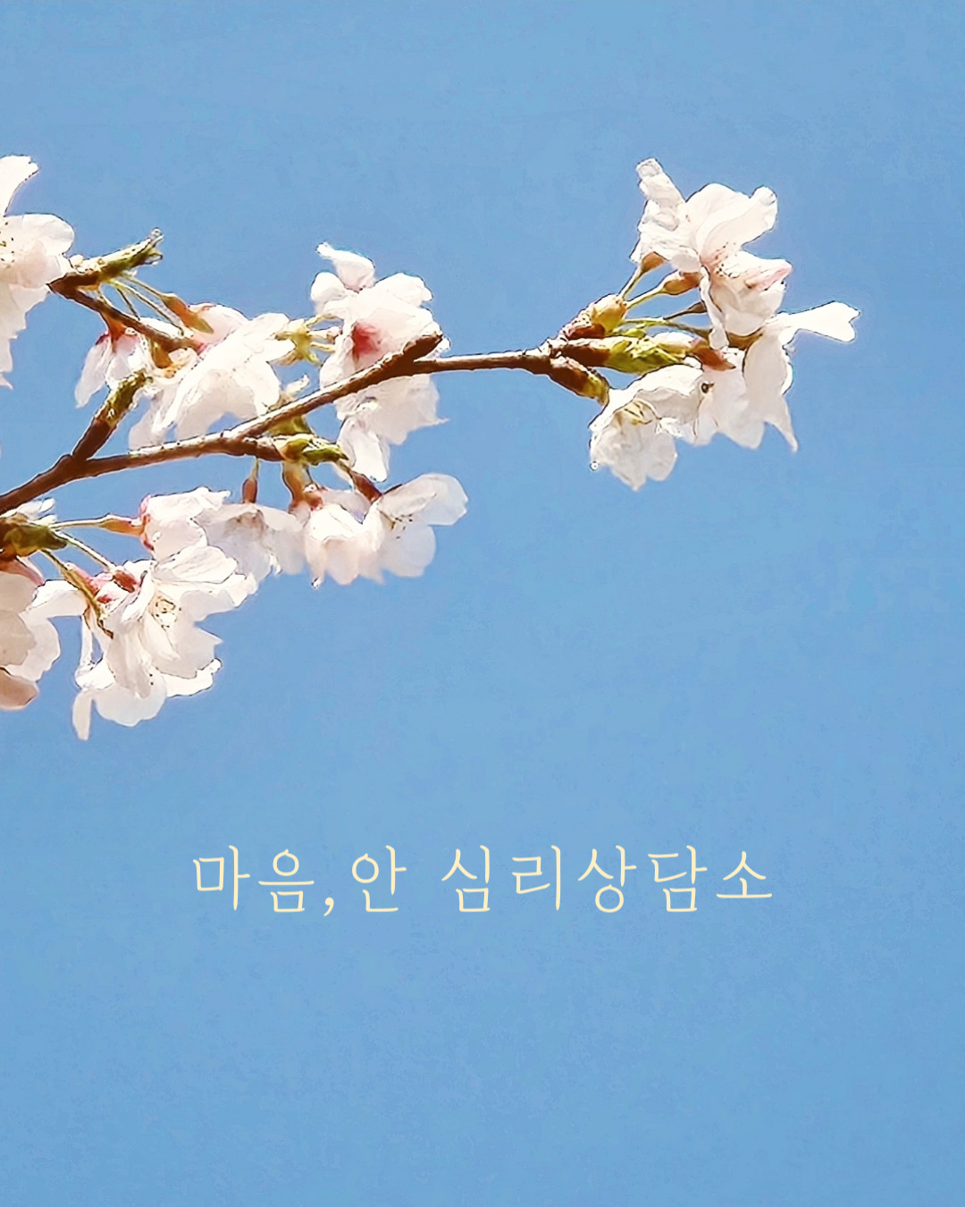 마음안 심리상담소