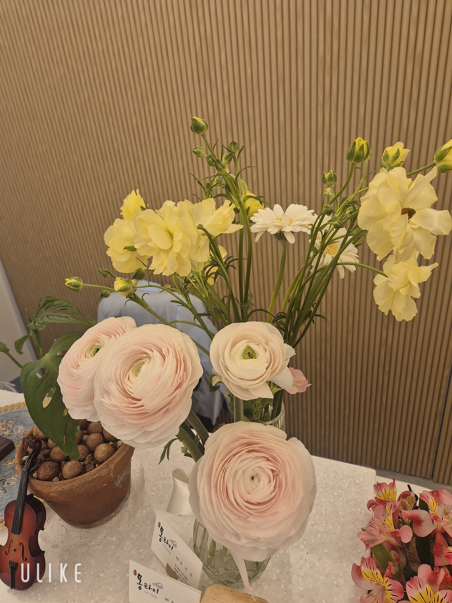 외도몽타이 photo 3