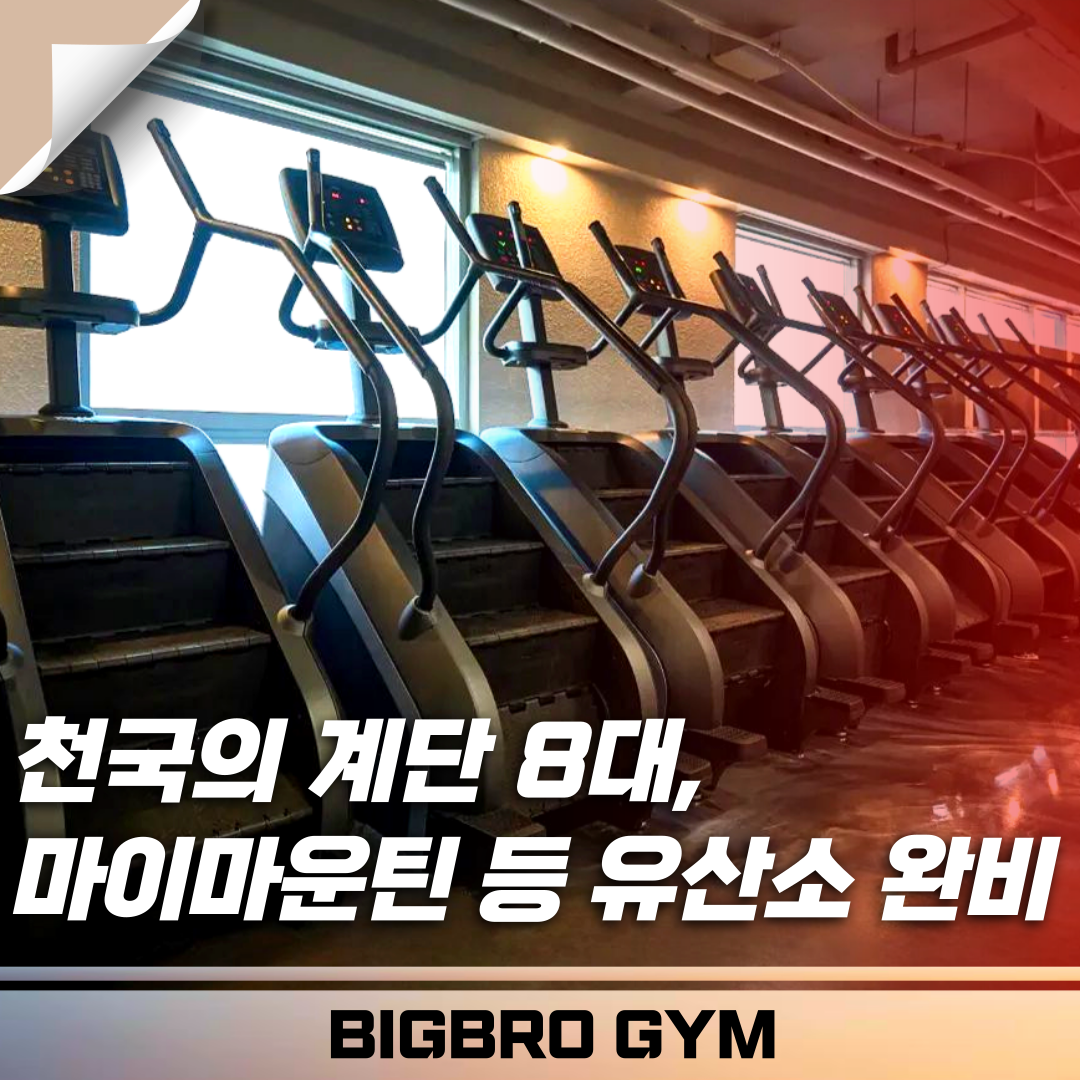 빅브로짐 범계점