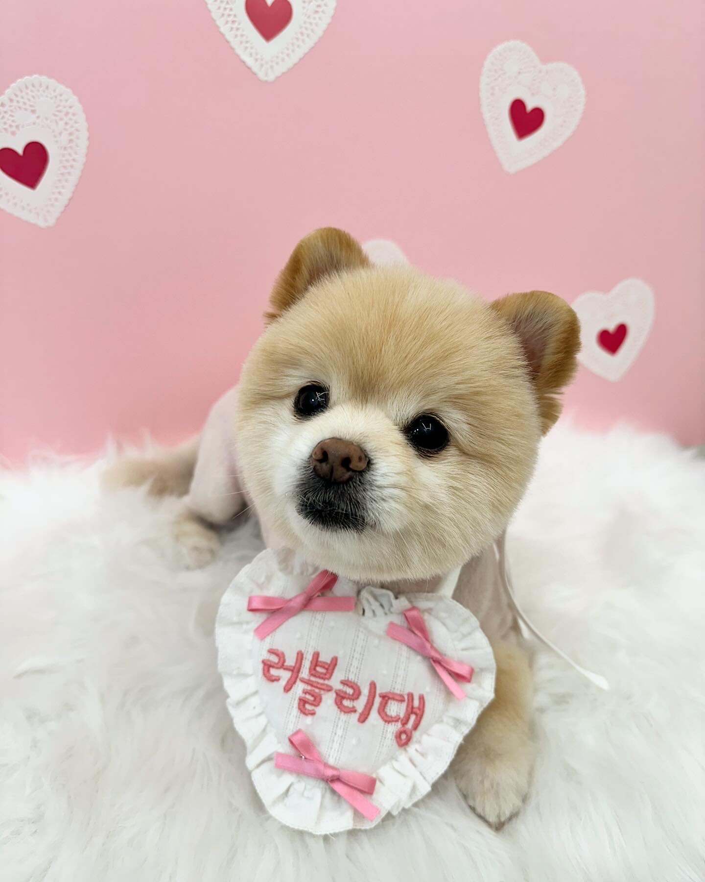 러블리댕 대표 이미지